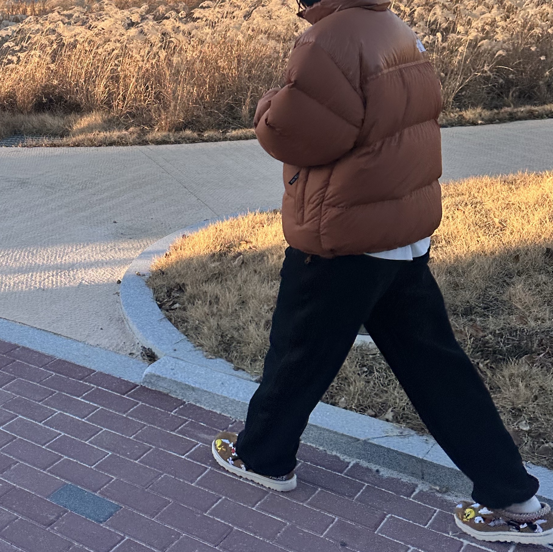 UGG x Palace x Looney Tunes Tasman Slipper Chestnut 착용 스타일