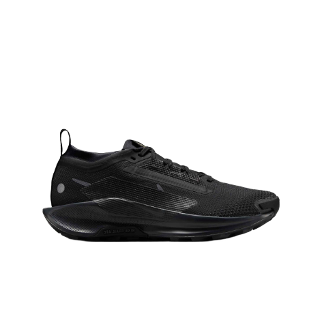 FQ0912-002 (W) Nike Pegasus Trail 5 Gore-Tex Black Anthracite