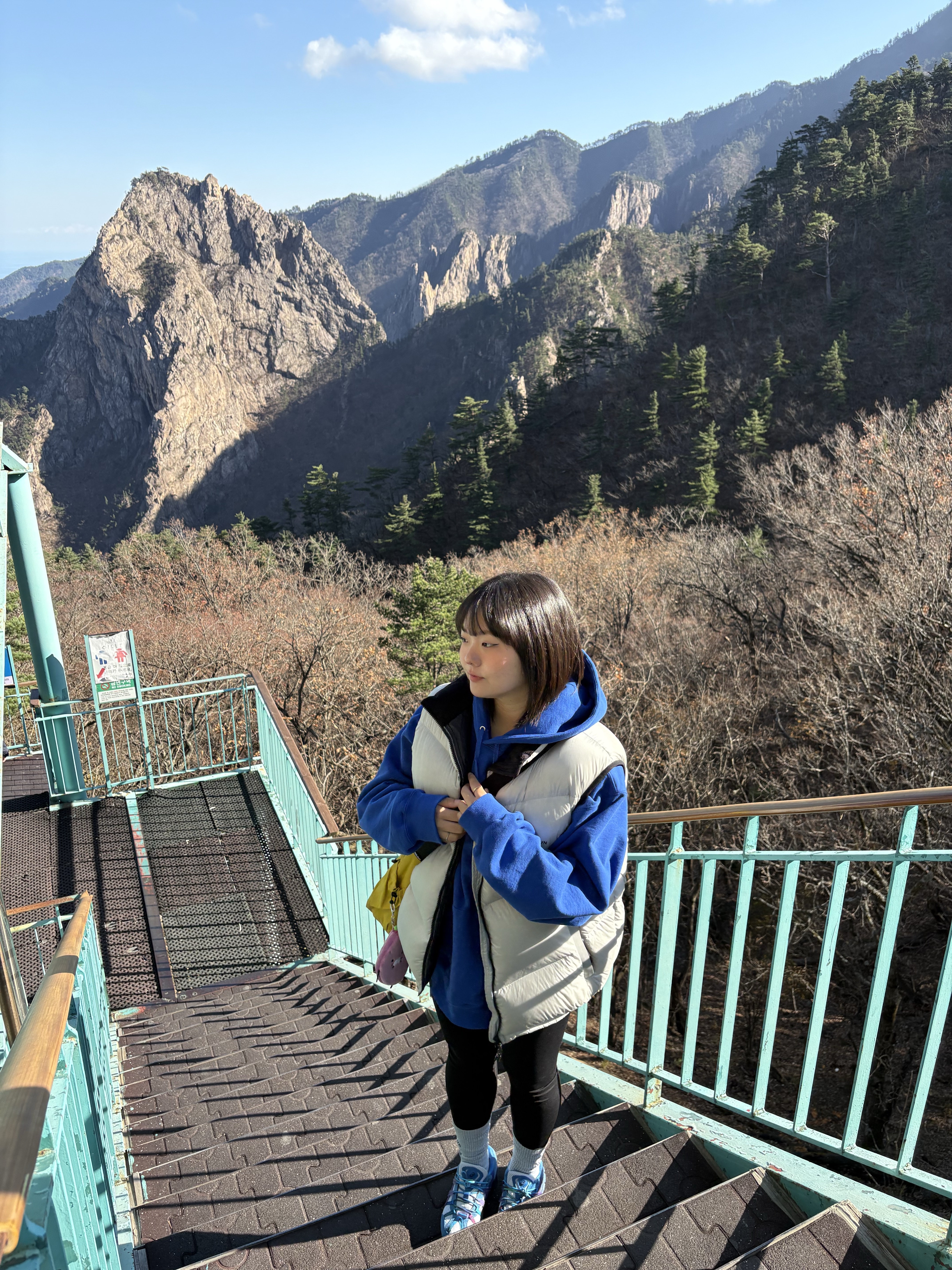 Supreme Gradient Hooded Sweatshirt Royal - 24SS, Asics x A.P.C. Gel-Sonoma 15-50 Blue 착용 스타일 - 2