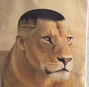 KREAM 프로필 이미지