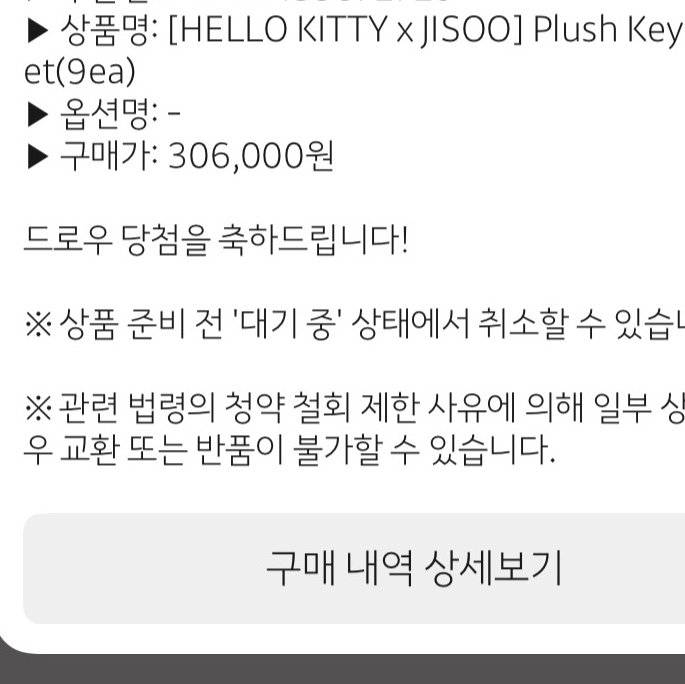 [HELLO KITTY x JISOO] Plush Keychain Set(9ea) 착용 스타일