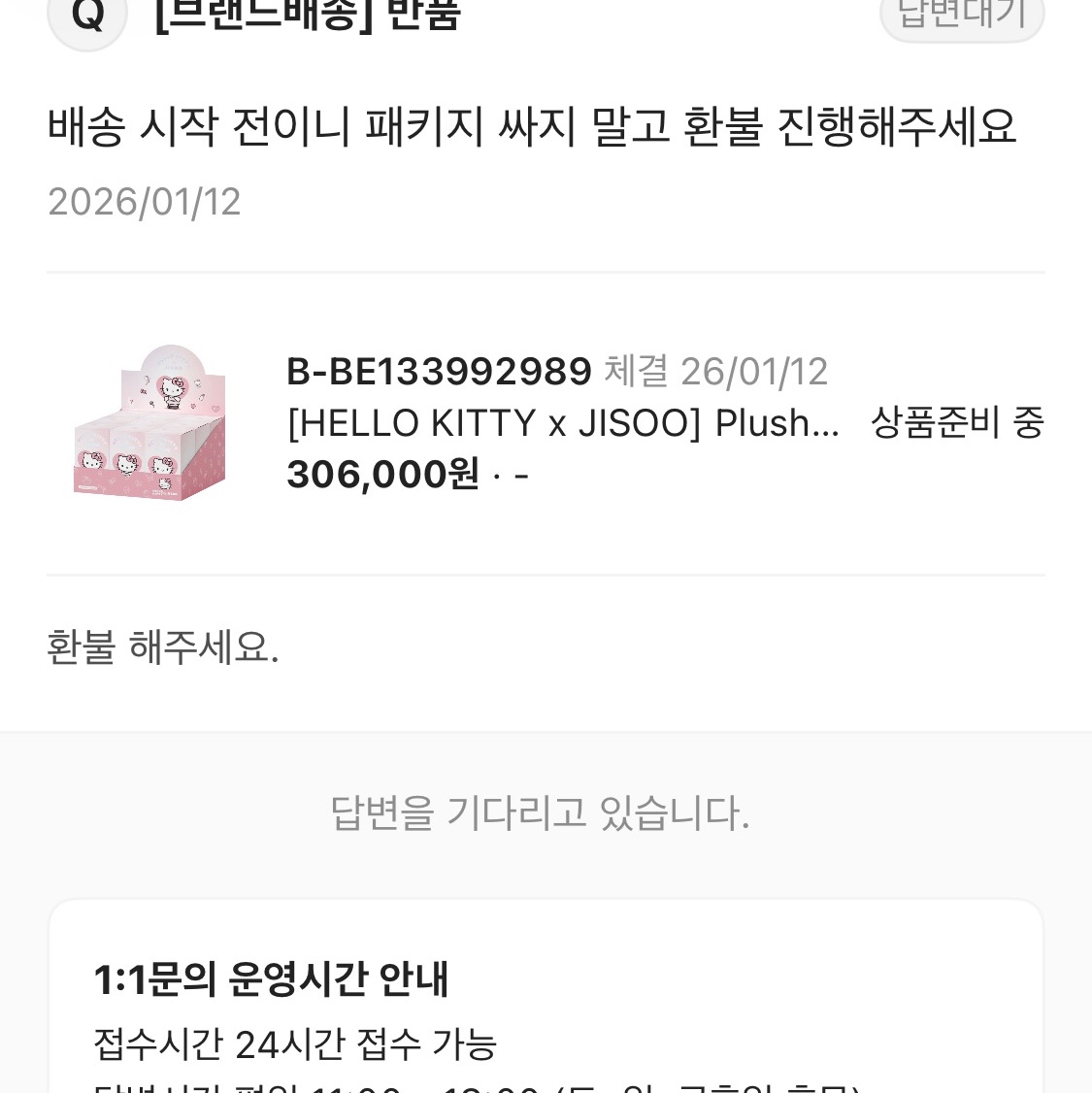 [HELLO KITTY x JISOO] Plush Keychain Set(9ea), [HELLO KITTY x JISOO] Plush Keychain 착용 스타일