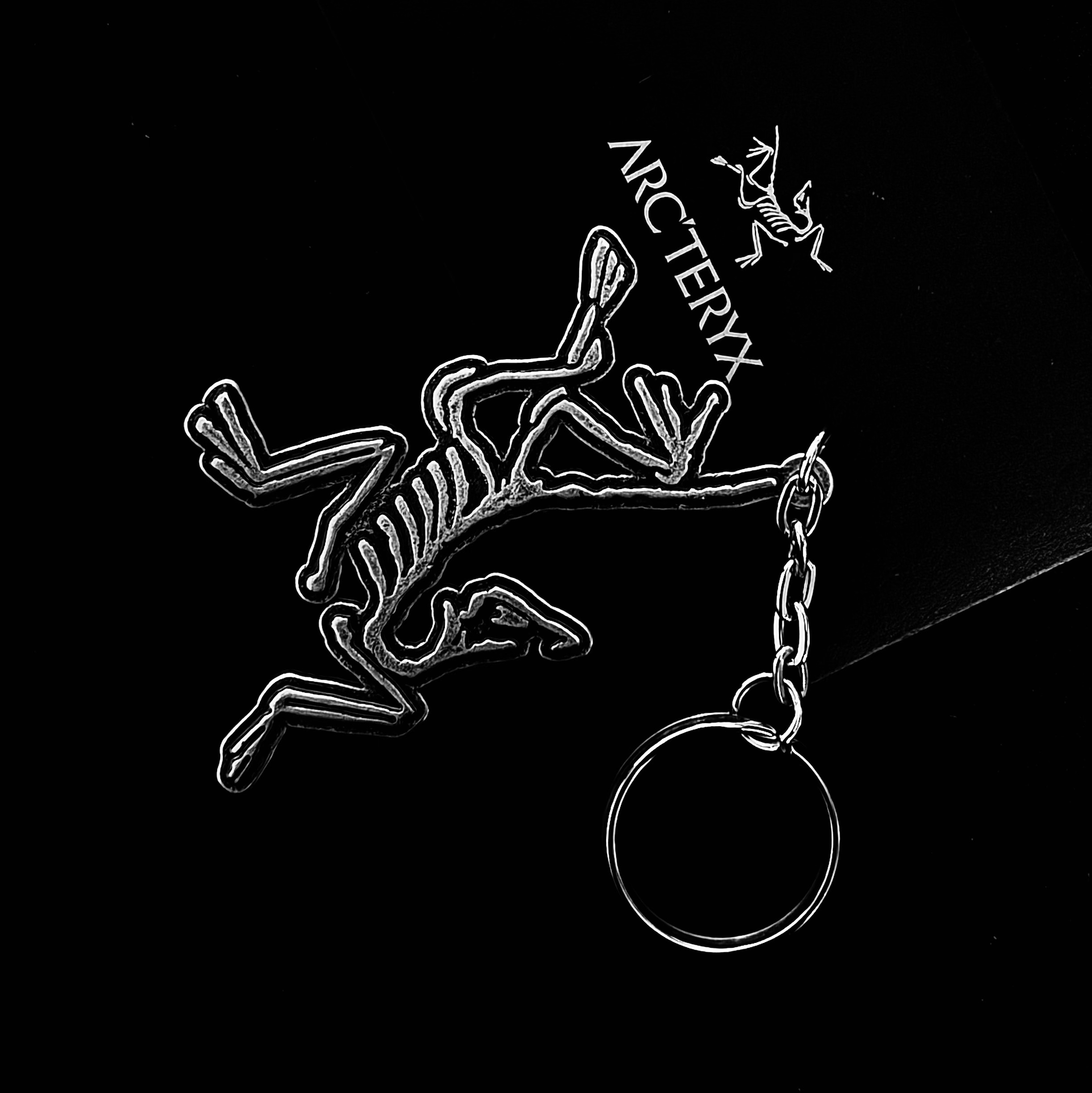 Arc'teryx Keyring Metal 착용 스타일