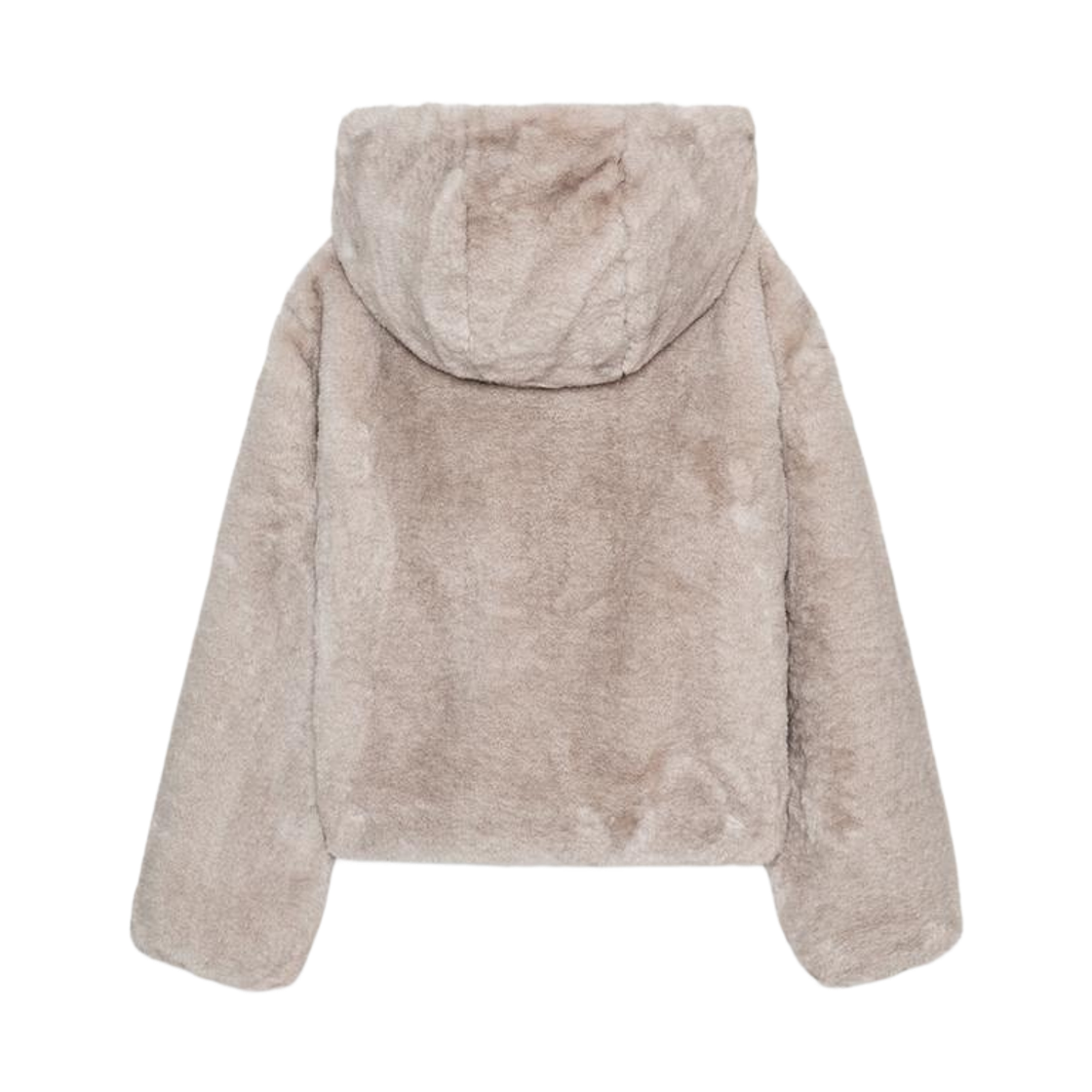 (W) 자라 숏 포우 퍼 후드 코트 밍크((W) Zara Short Faux Fur Hooded Coat Mink) - 2