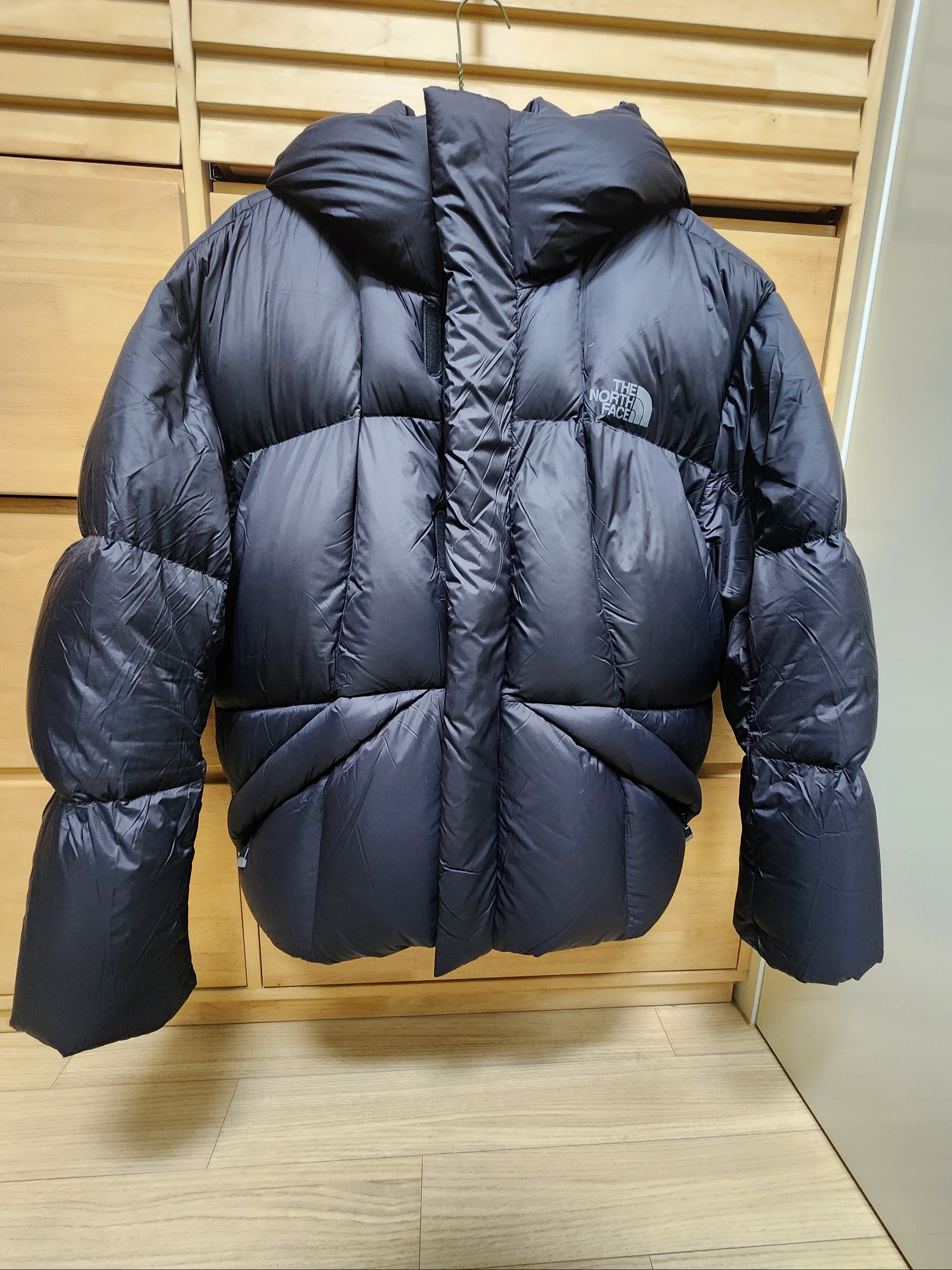 The North Face Skye Down Jacket RDS Black - 25FW 착용 스타일