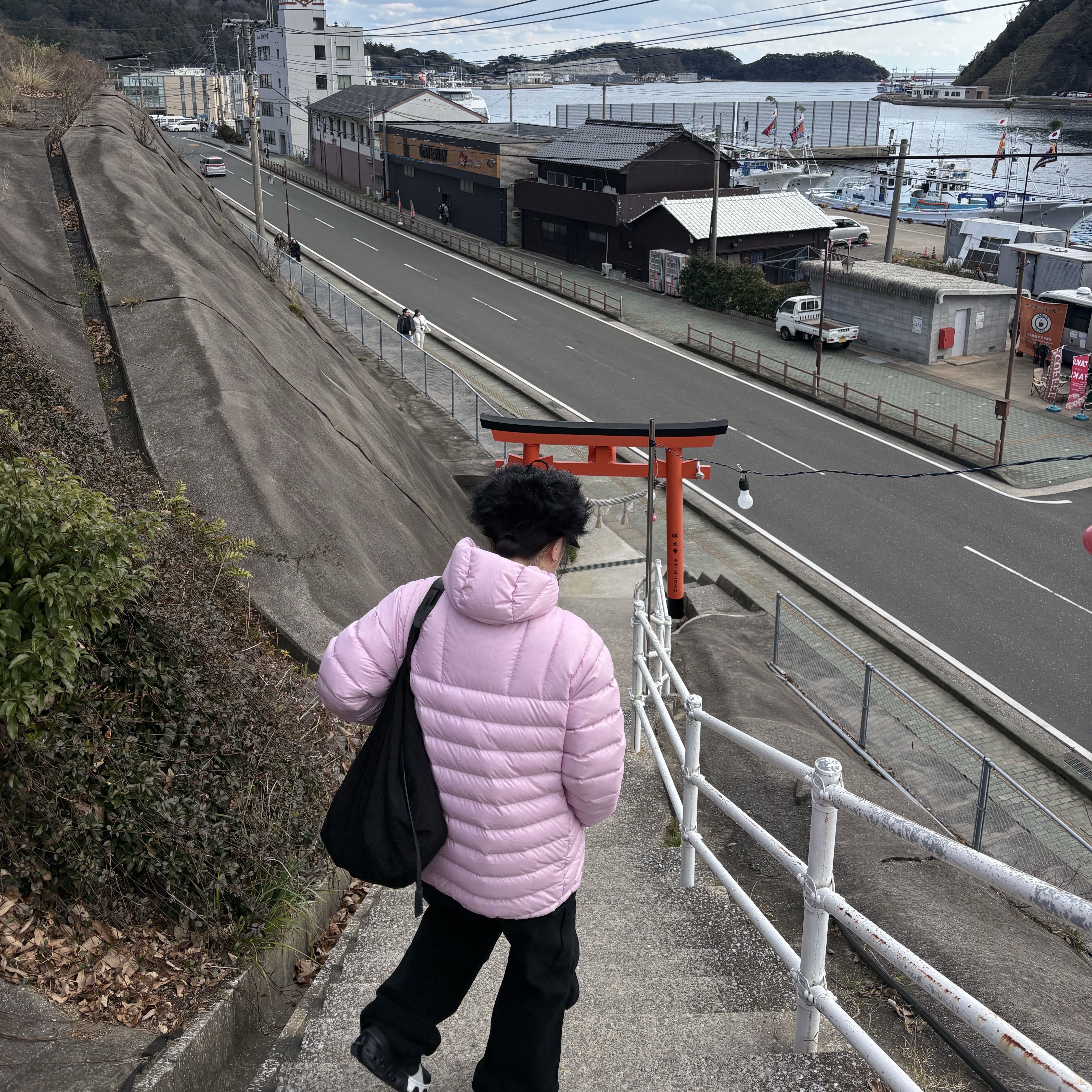 Supreme Micro Down Half Zip Hooded Pullover Light Pink - 25FW, Open Yy Faux Fur Earflap Cap Black 착용 스타일 - 2