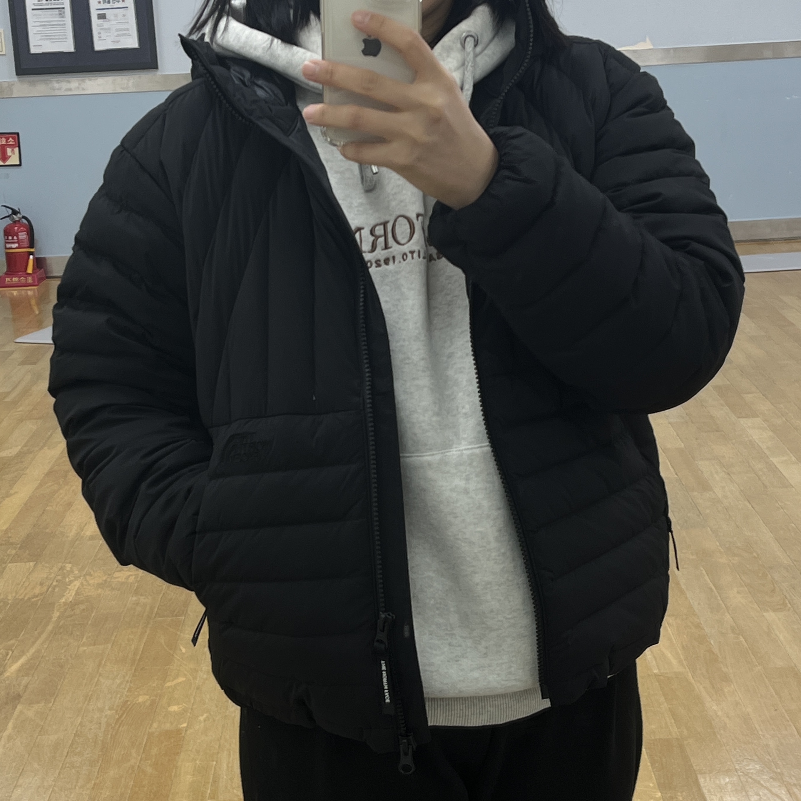 The North Face Coreline Down Jacket Black - 25FW 착용 스타일