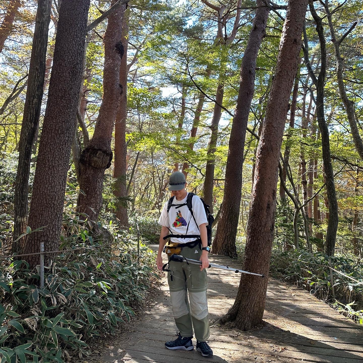 Nike ACG Smith Summit Cargo Pants Medium Olive - Asia, Nike ACG Fruit and Veggies T-Shirt - US/EU 착용 스타일