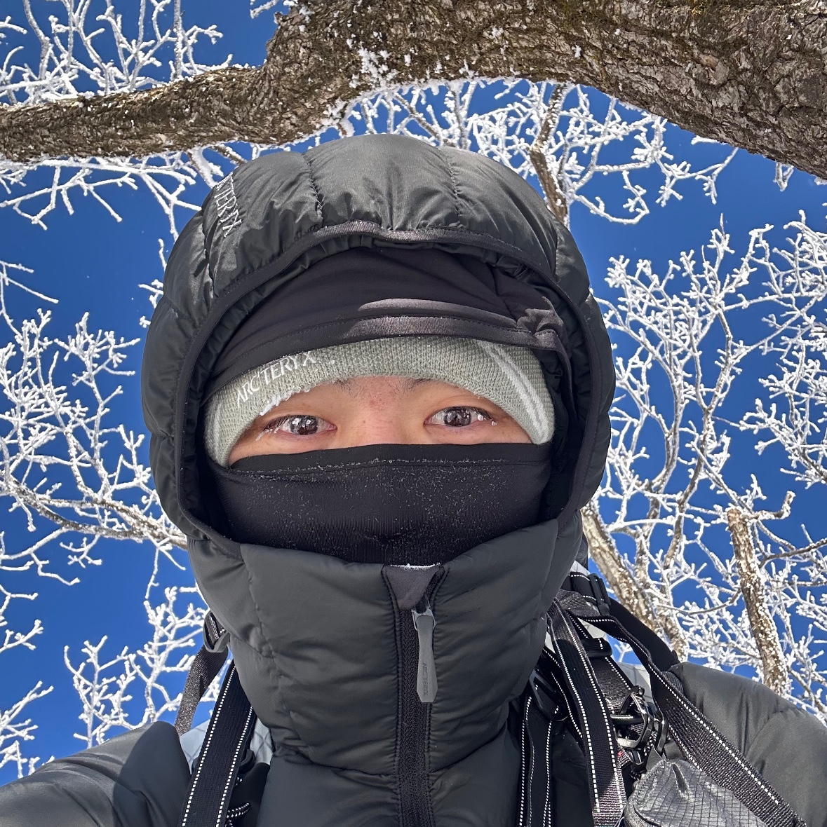 Arc'teryx Cerium Hoody Black, Arc'teryx Atom Hoody Black 착용 스타일