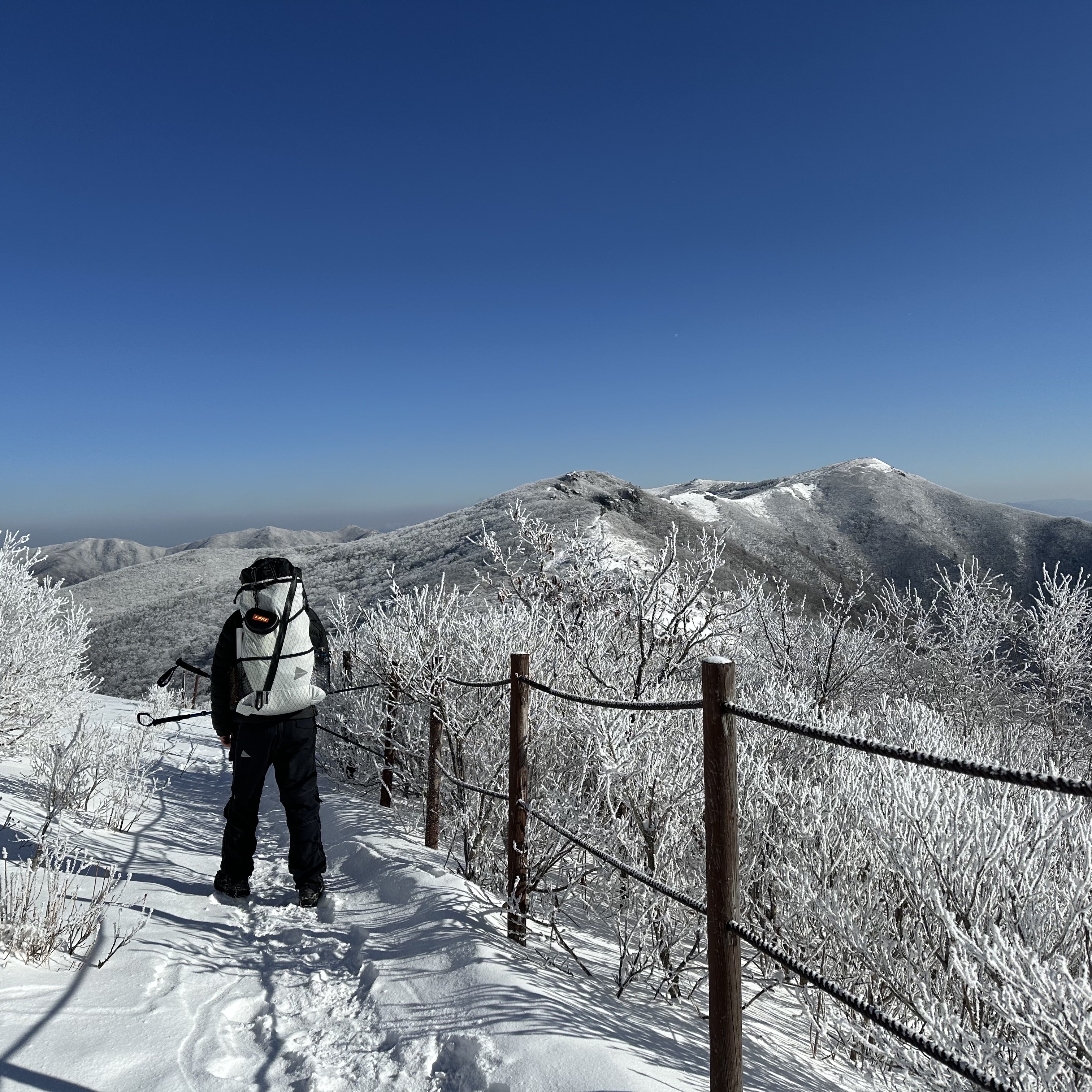 신개똥님의 스타일