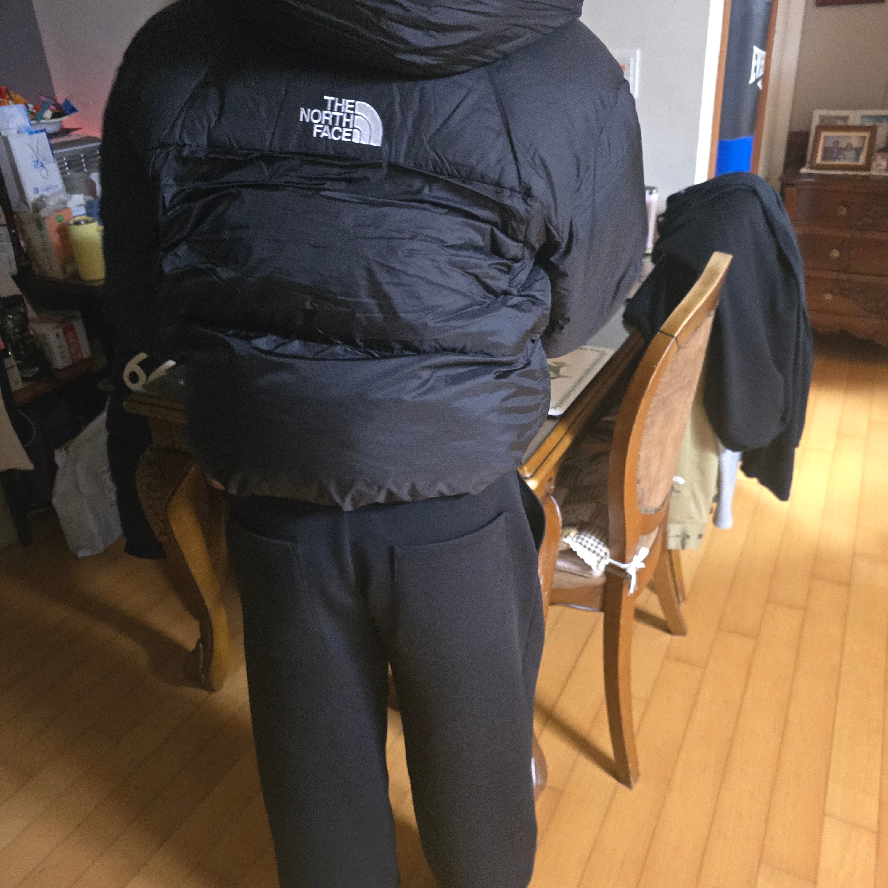 The North Face White Label Project Down Jacket RDS Black - 25FW 착용 스타일 - 1