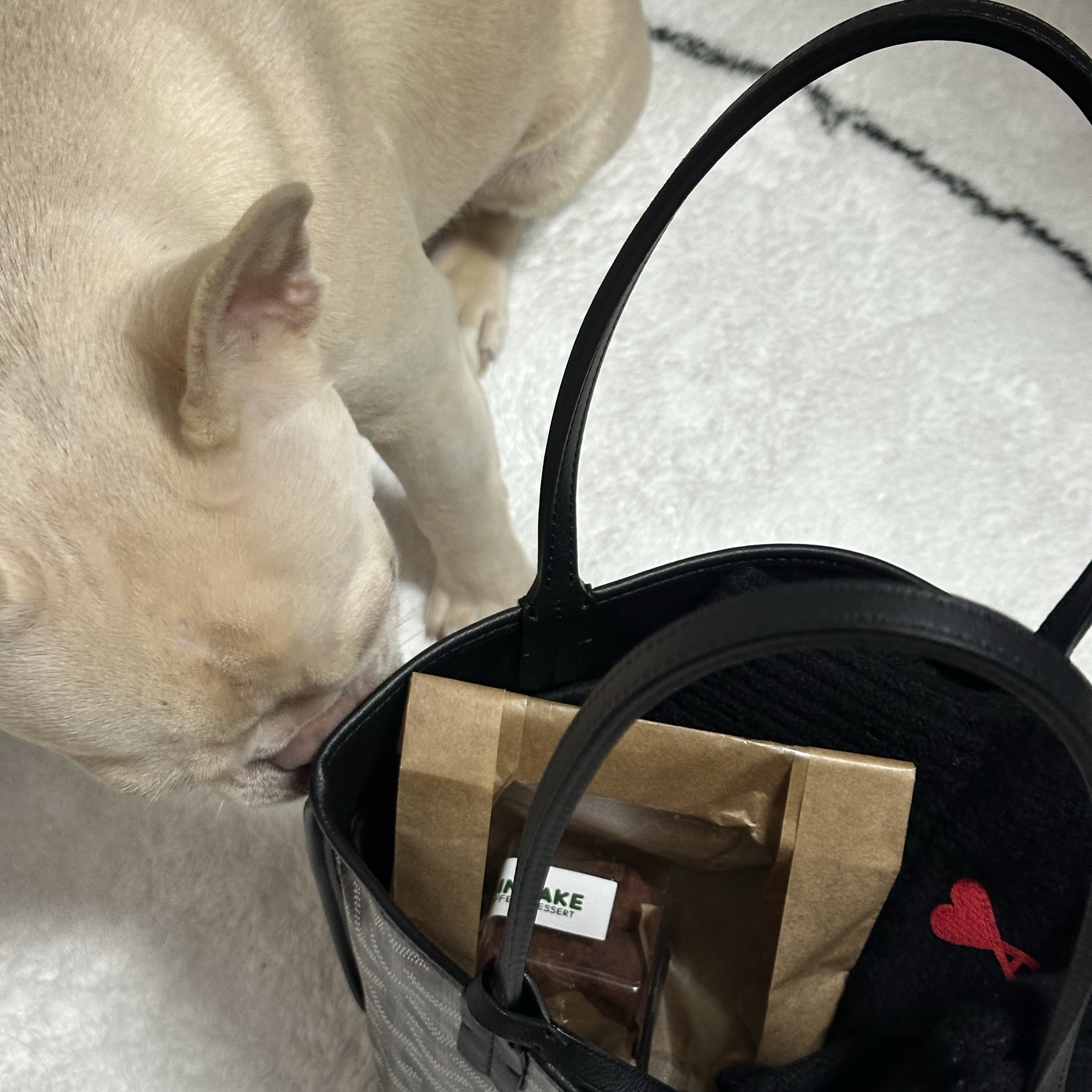 Goyard Anjou Mini Bag Black 착용 스타일 - 2