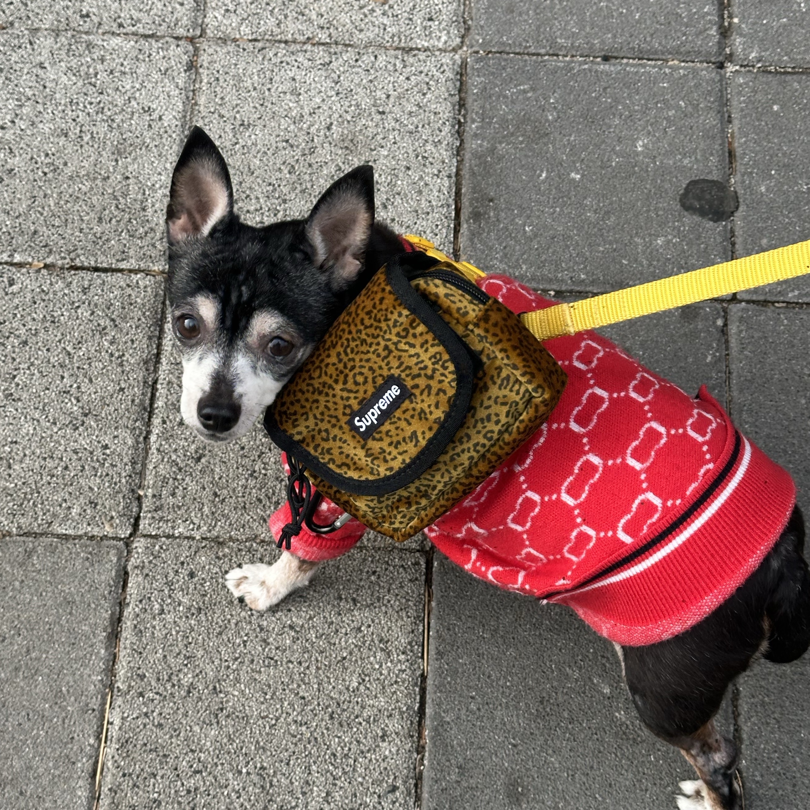 Supreme Velvet Mini Pouch Tan Leopard - 25FW ์ฐฉ์ฉ ์คํ์ผ - 1