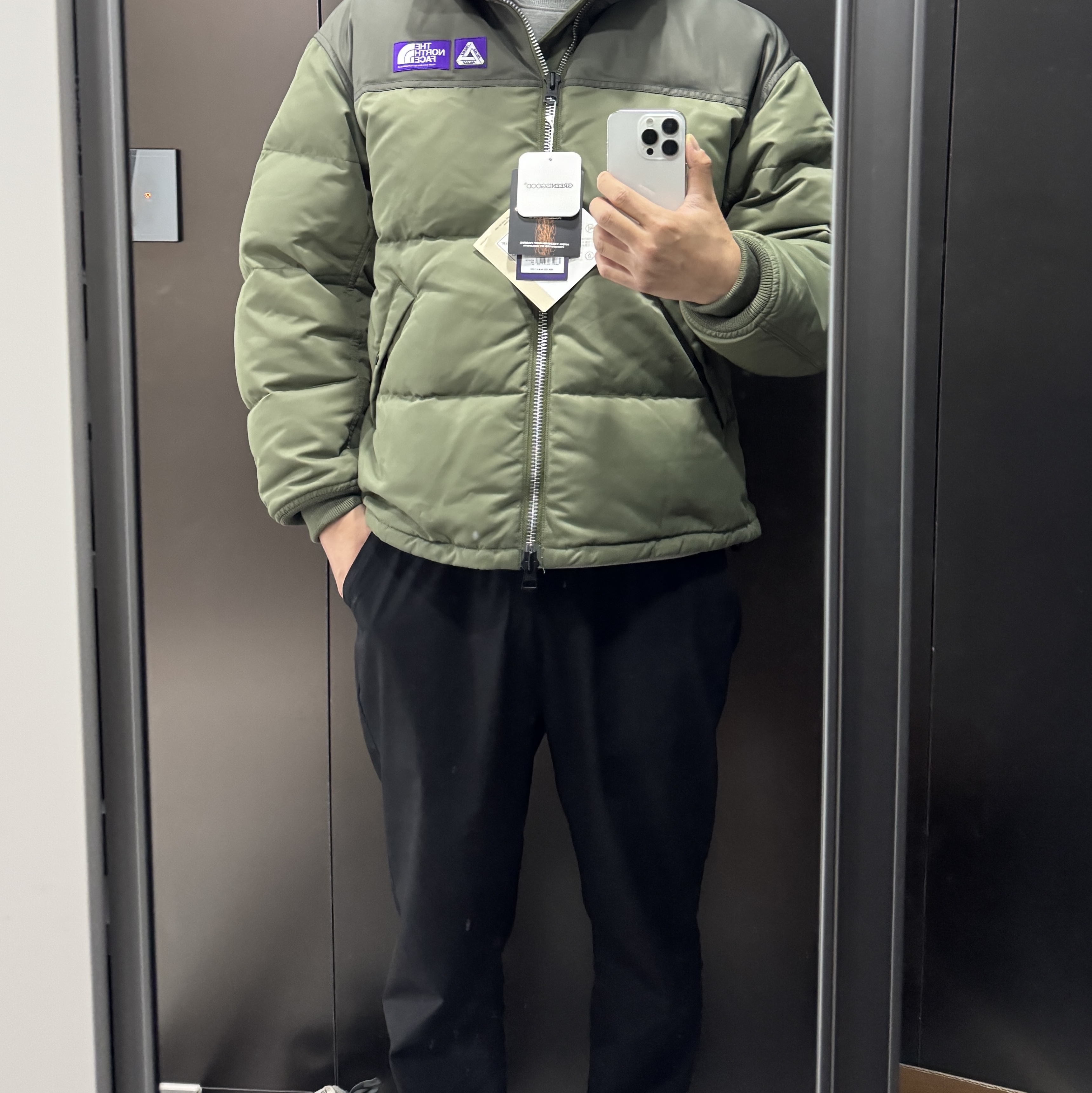 Palace x The North Face Purple Label Windstopper Field Down Jacket Sage Green - 25FW 착용 스타일