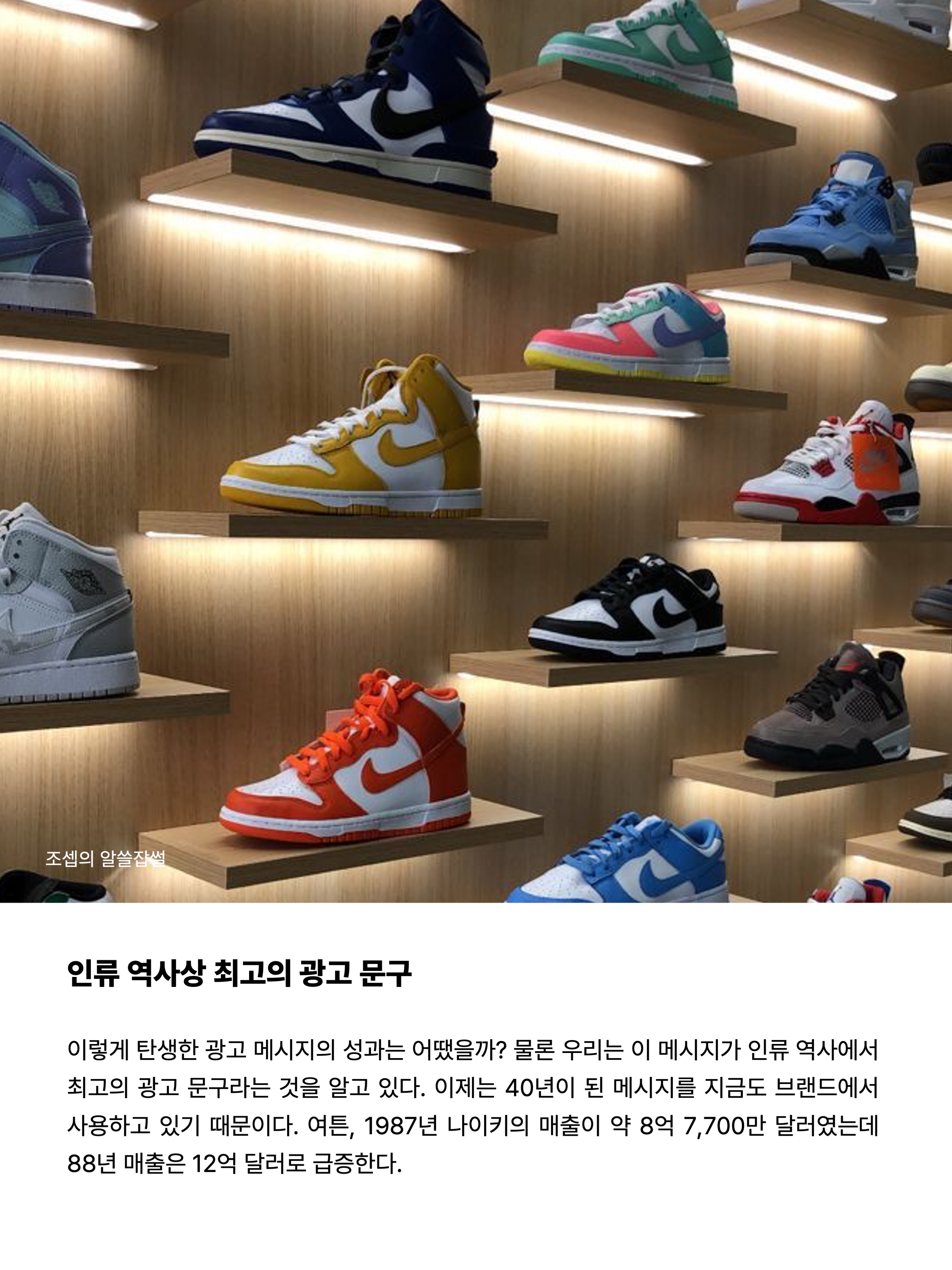 (W) Nike Shox Z Dark Team Red Mystic Dates, Nike Everyday Cushioned Training Crew Socks Black (3 Pack/Korean Ver.) 착용 스타일 - 8