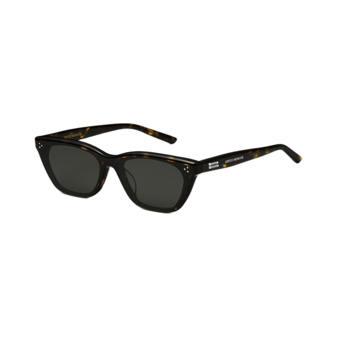 젠틀 몬스터 도도 T9 톨토이즈 블랙(Gentle Monster Dodo T9 Tortoise Black) - 3