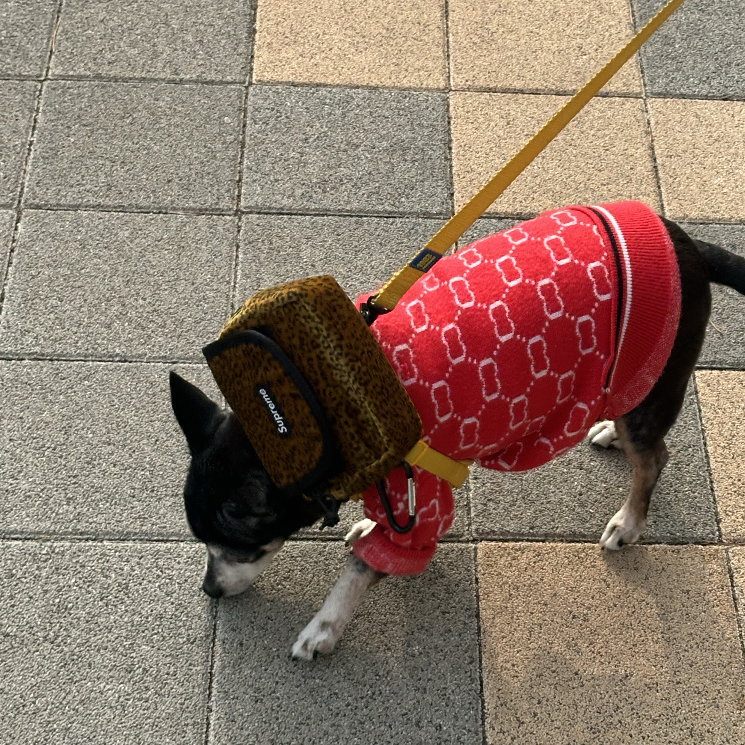 Supreme Velvet Mini Pouch Tan Leopard - 25FW ์ฐฉ์ฉ ์คํ์ผ - 2