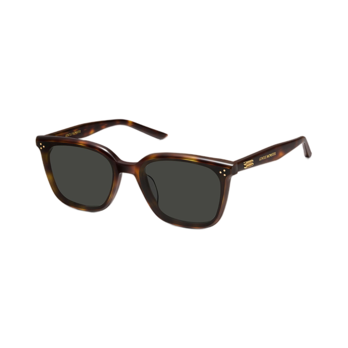 젠틀 몬스터 로 로우 L2 톨토이즈 블랙(Gentle Monster Lo Lou L2 Tortoise Black) - 3