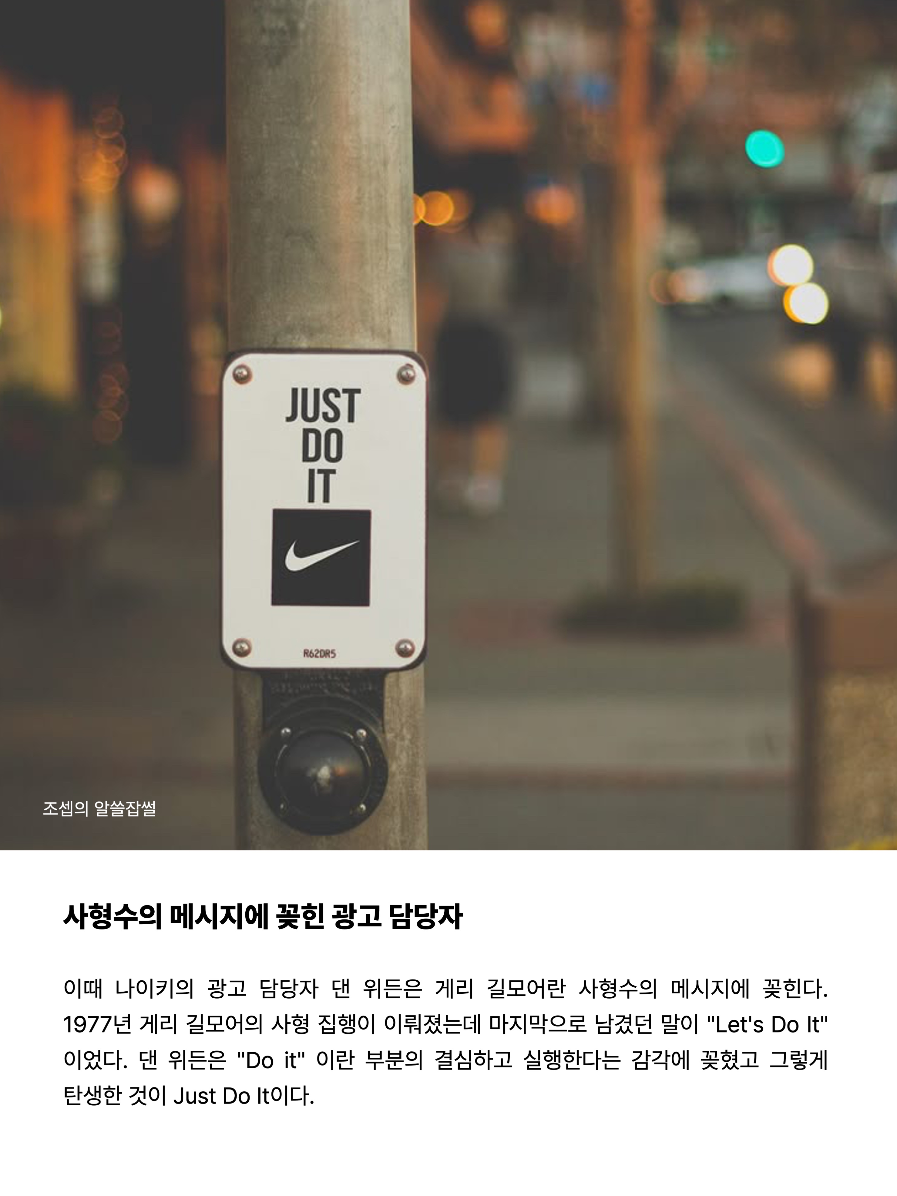 (W) Nike Shox Z Dark Team Red Mystic Dates, Nike Everyday Cushioned Training Crew Socks Black (3 Pack/Korean Ver.) 착용 스타일 - 5