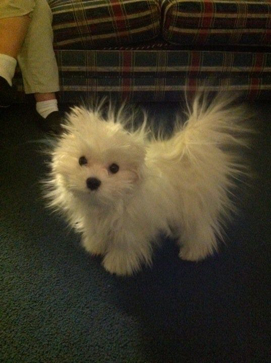 관심 유저 프로필 이미지