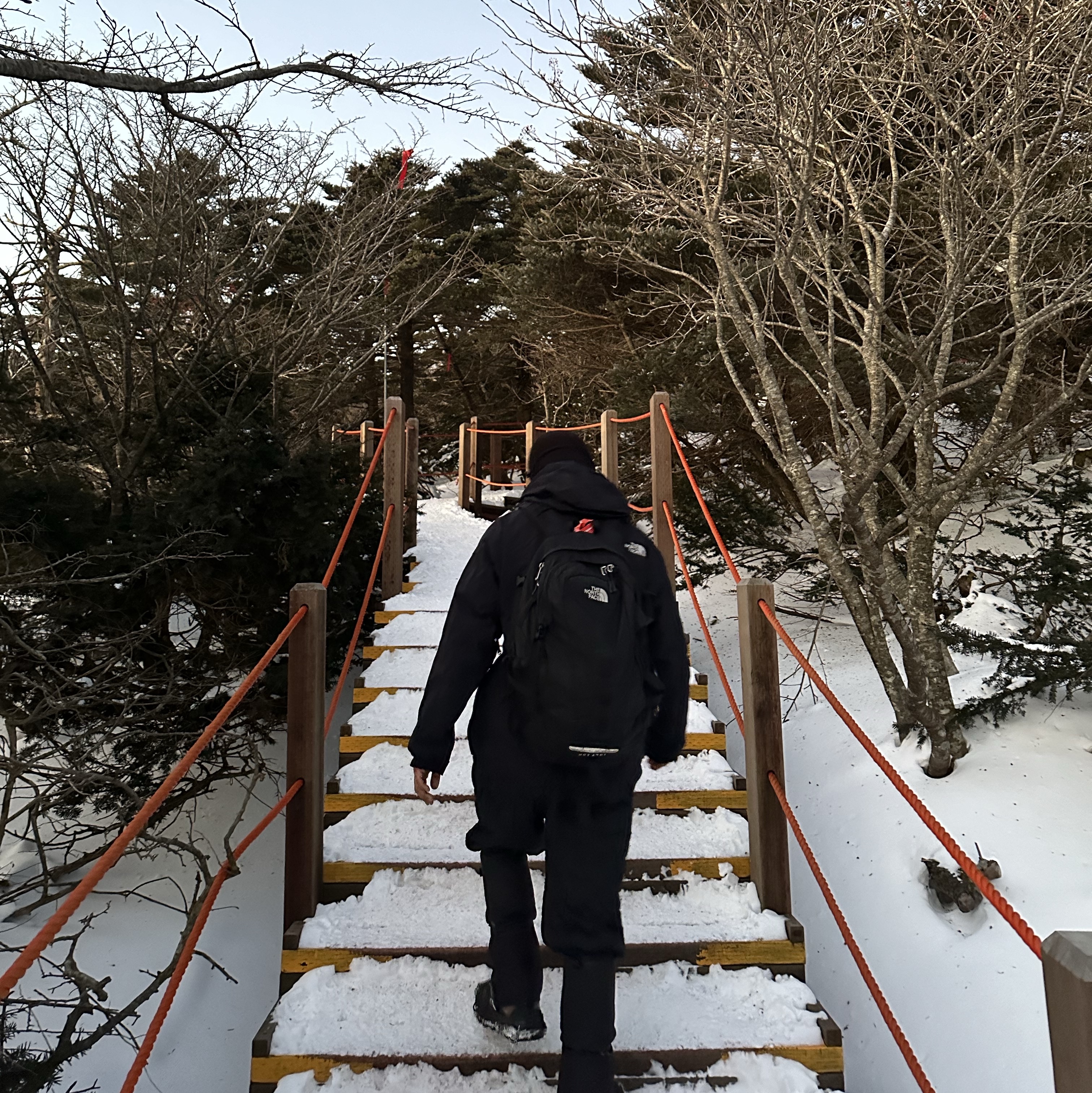 The North Face Matier Down Hoodie RDS Light Gray - 25FW, The North Face Borealis M Backpack Black 착용 스타일 - 4