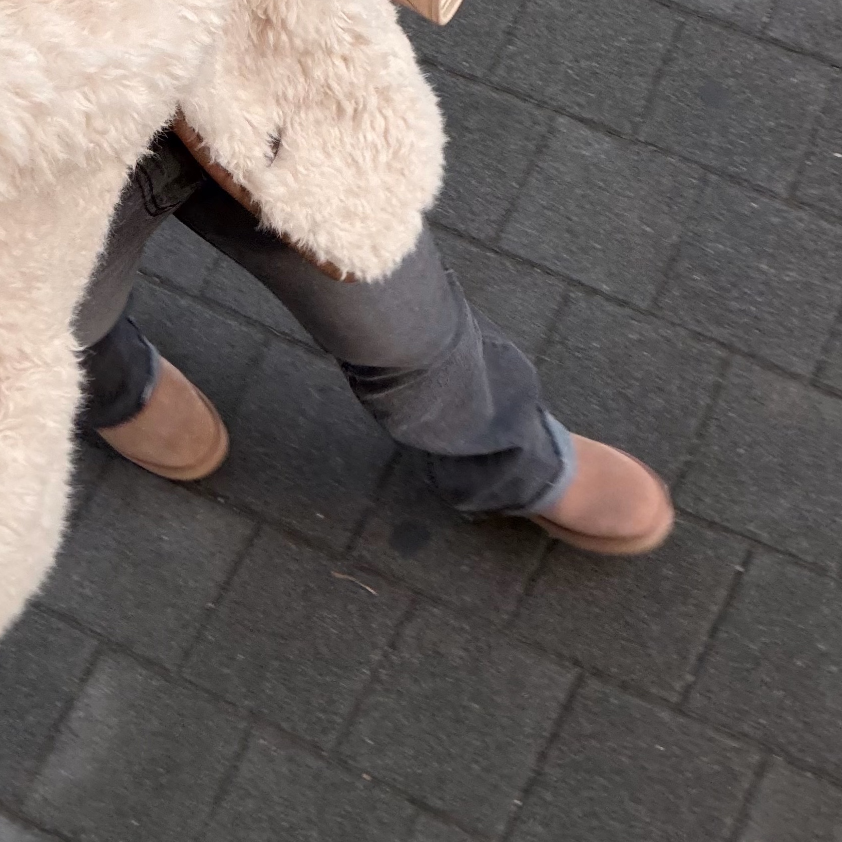 (W) UGG Classic Ultra Mini Platform Boots Chestnut 착용 스타일