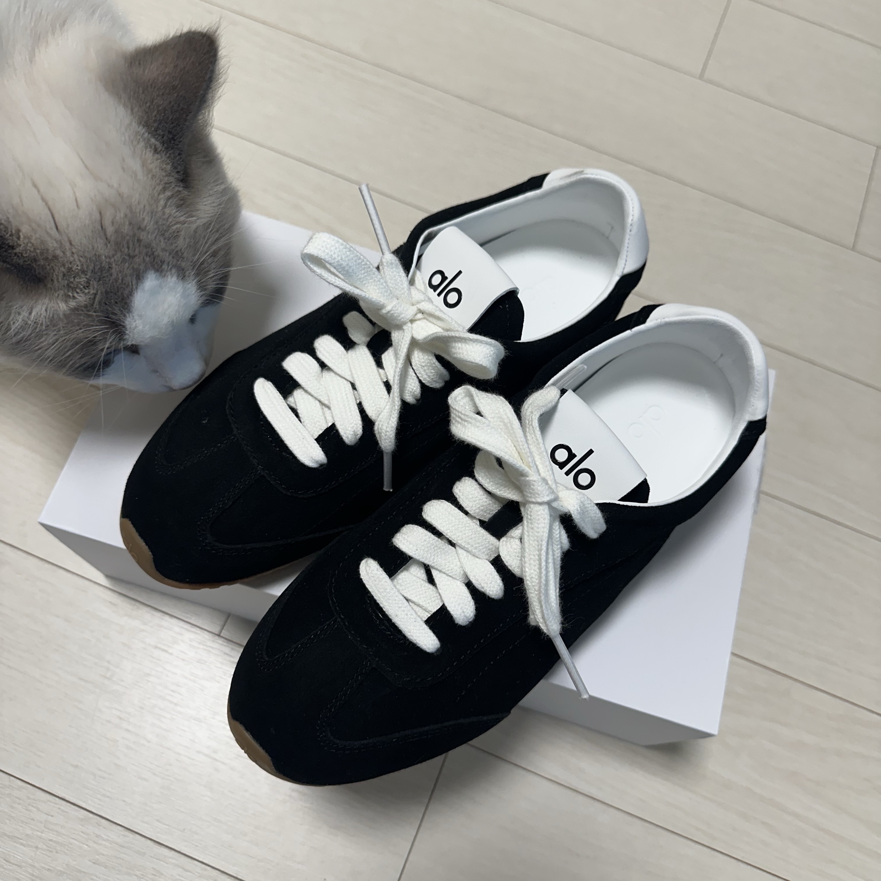 (W) Alo Yoga Sunset Sneaker Black 착용 스타일