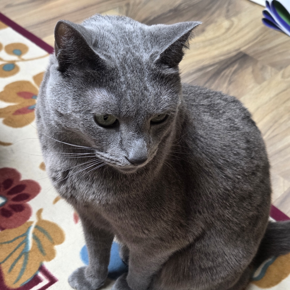 관심 유저 프로필 이미지