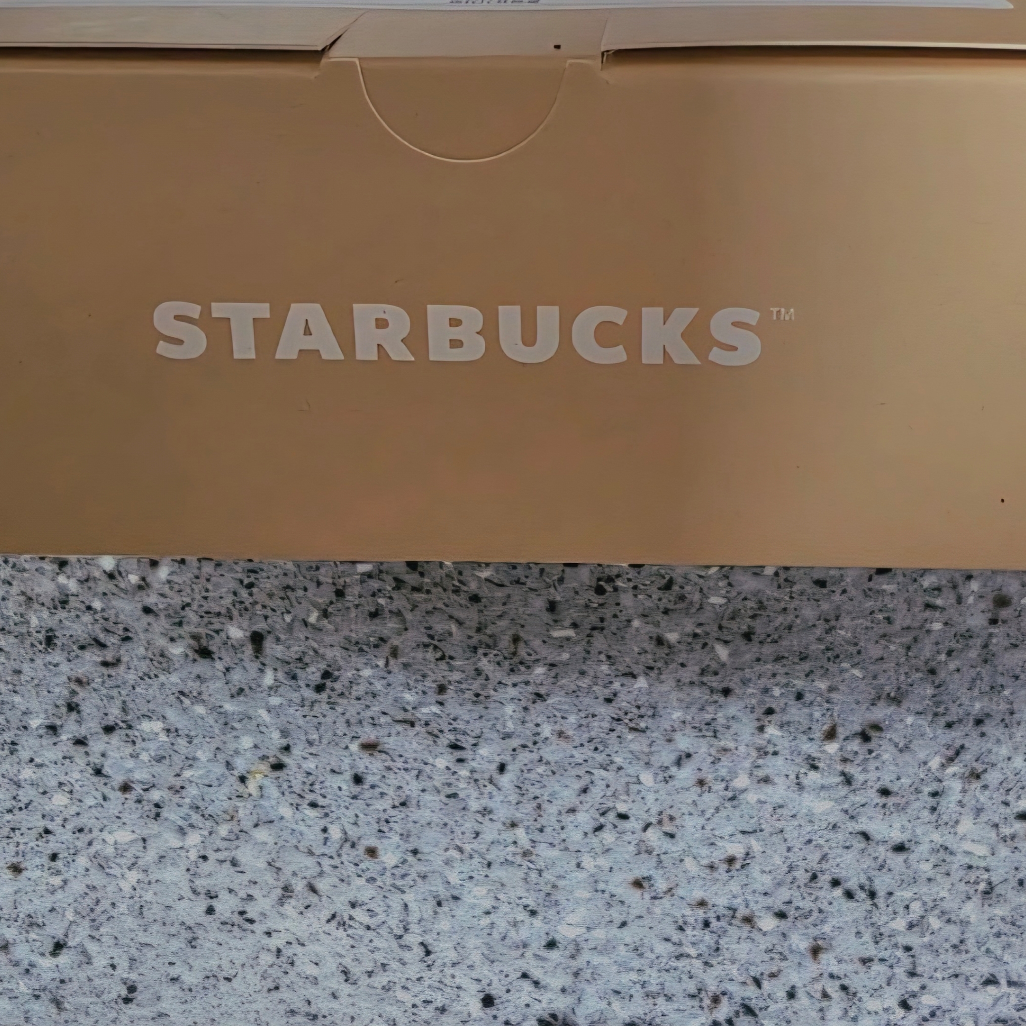 Starbucks Bearista Parking Number Plate 착용 스타일 - 1