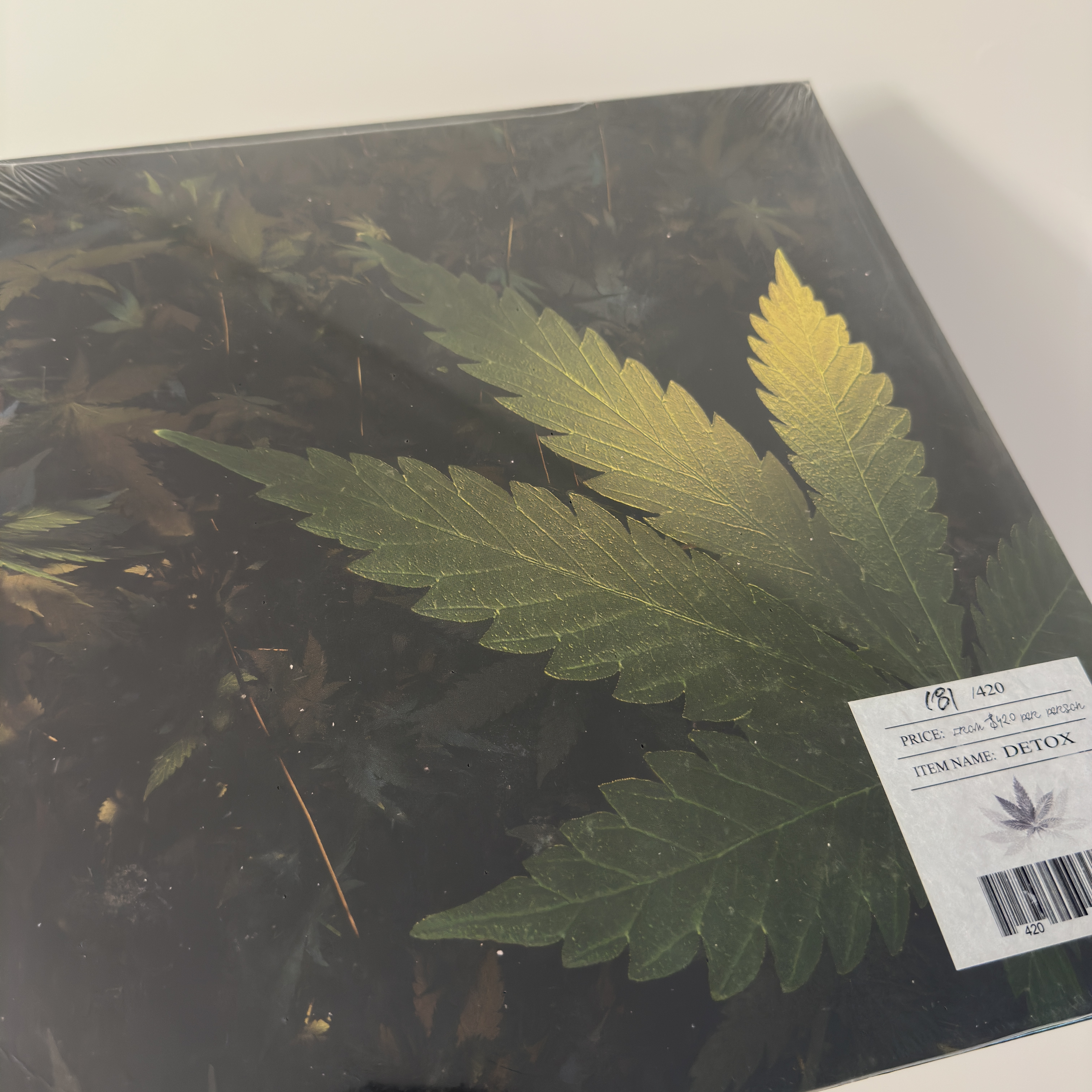 Bill Stax Detox LP (420 Limited) 착용 스타일