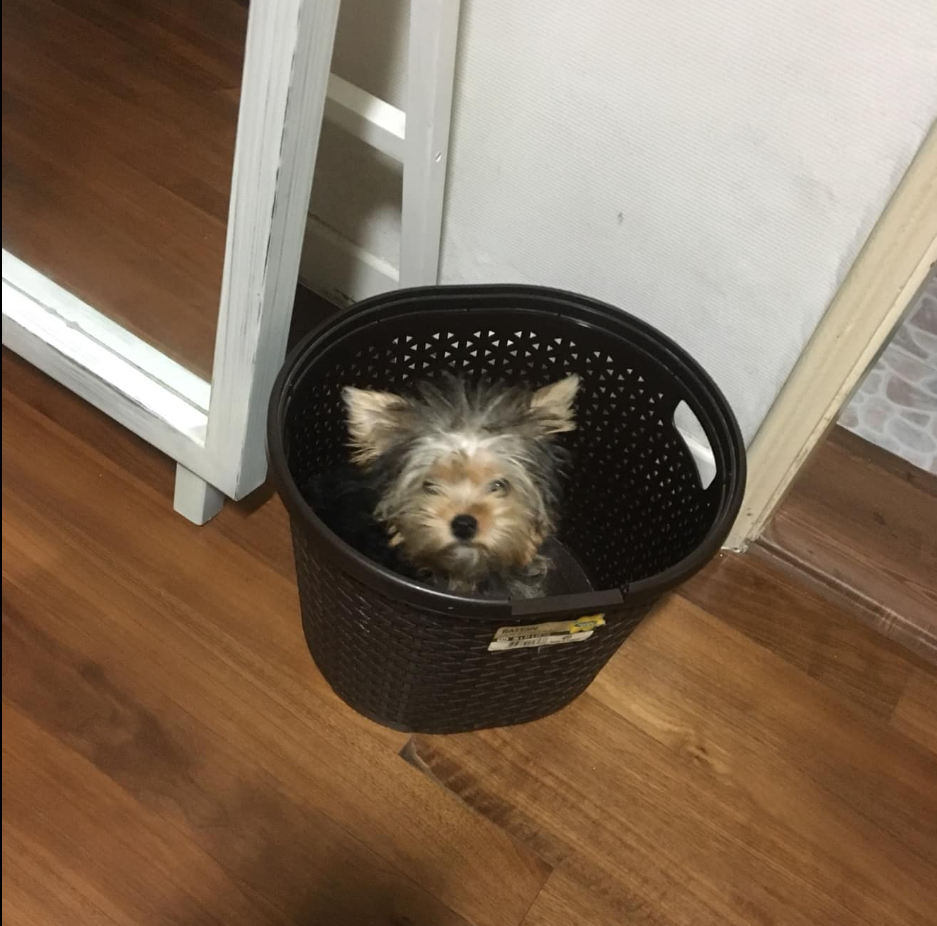 관심 유저 프로필 이미지