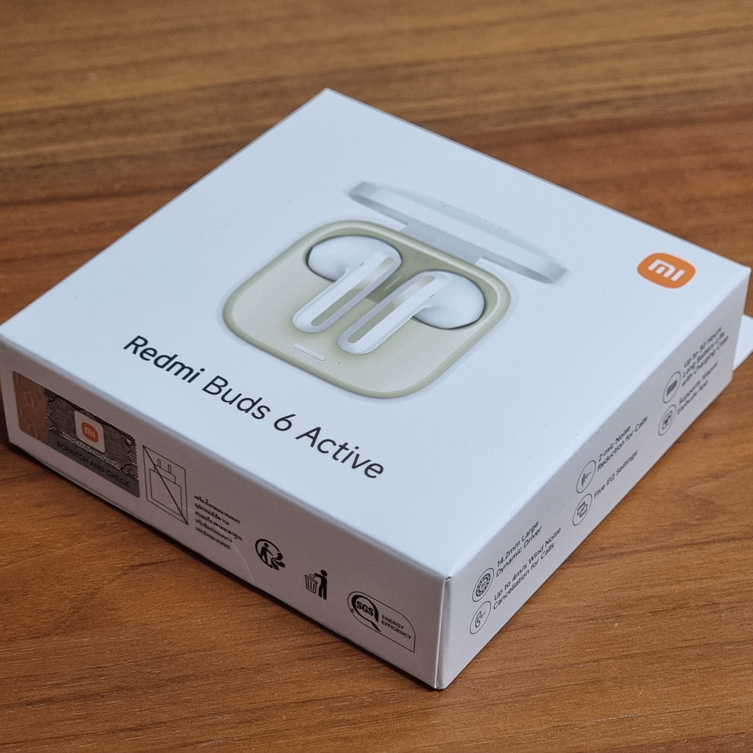 Xiaomi Buds 6 ACTIVE 착용 스타일