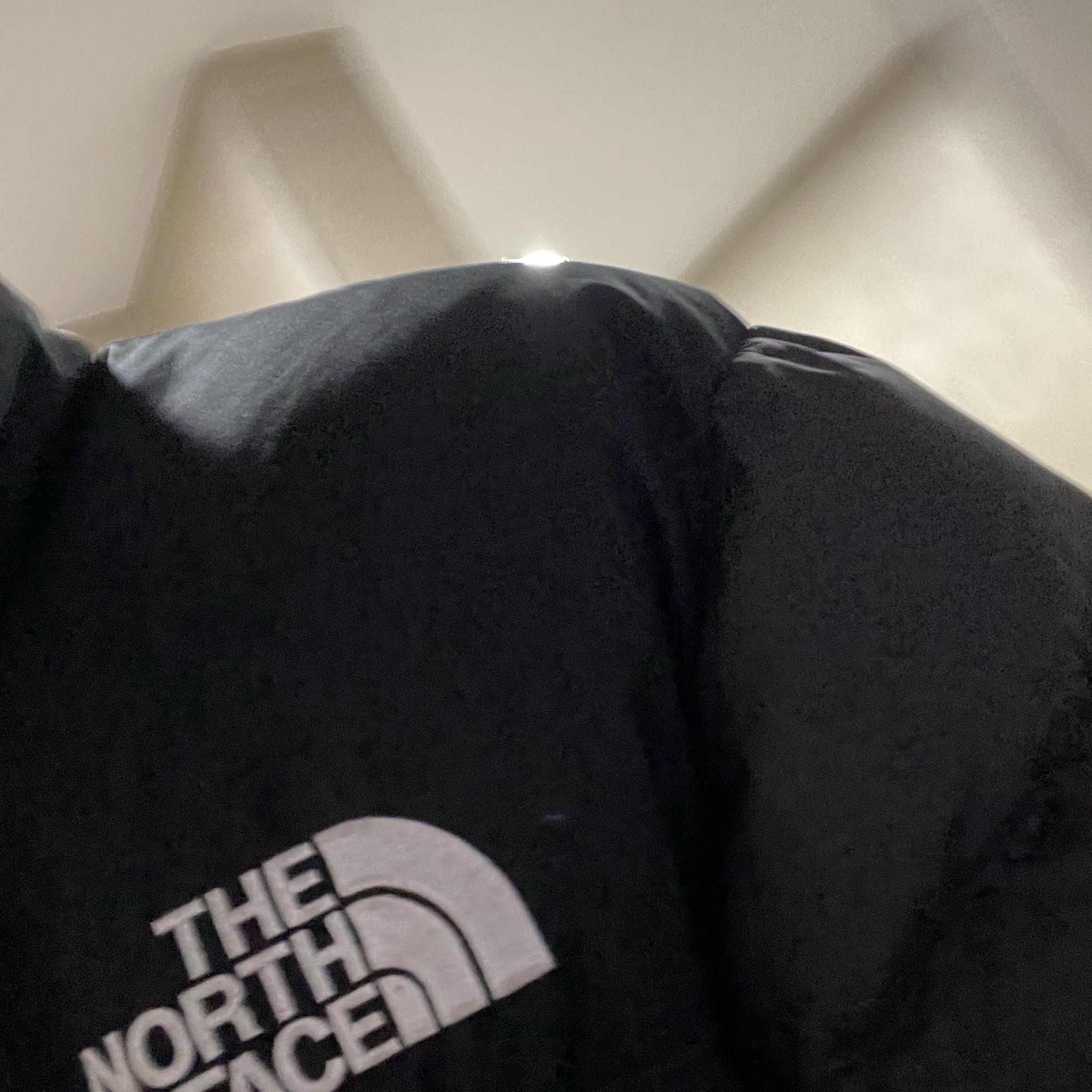 The North Face White Label Novelty Nuptse RDS Down Jacket Real Black 착용 스타일
