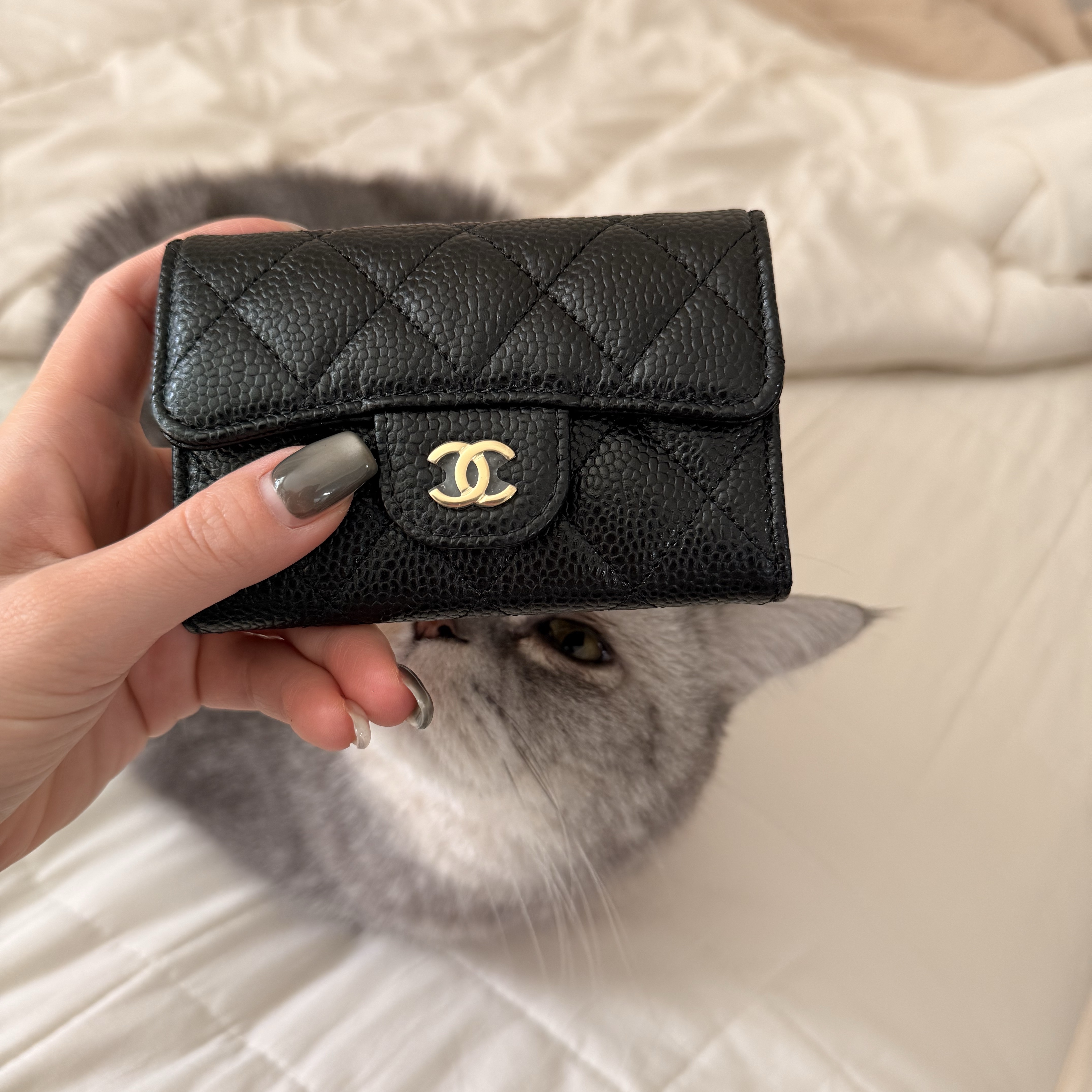 Chanel Classic Card Holder Grained Calfskin & Gold Black 착용 스타일