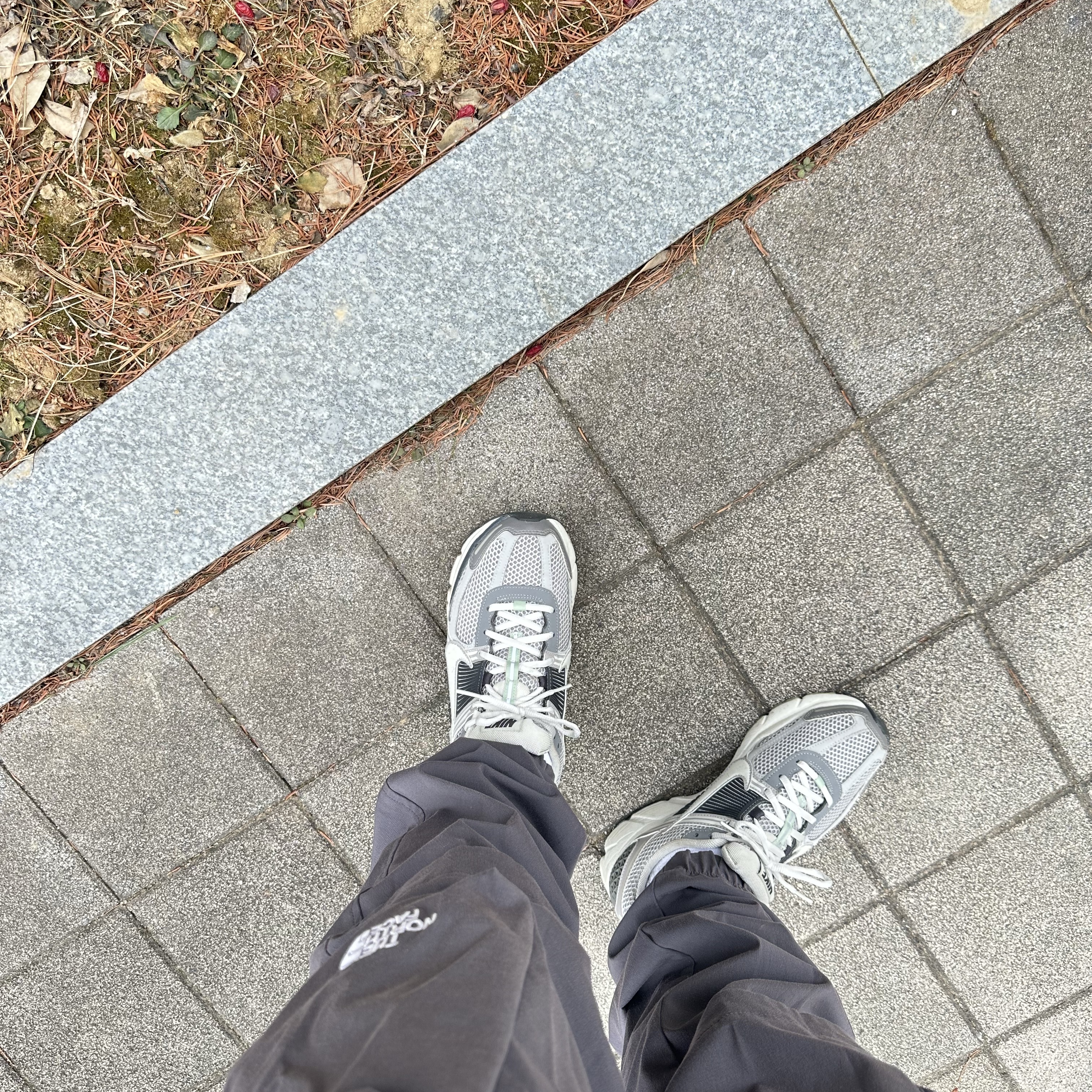 (W) Nike Zoom Vomero 5 Cobblestone and Flat Pewter 착용 스타일