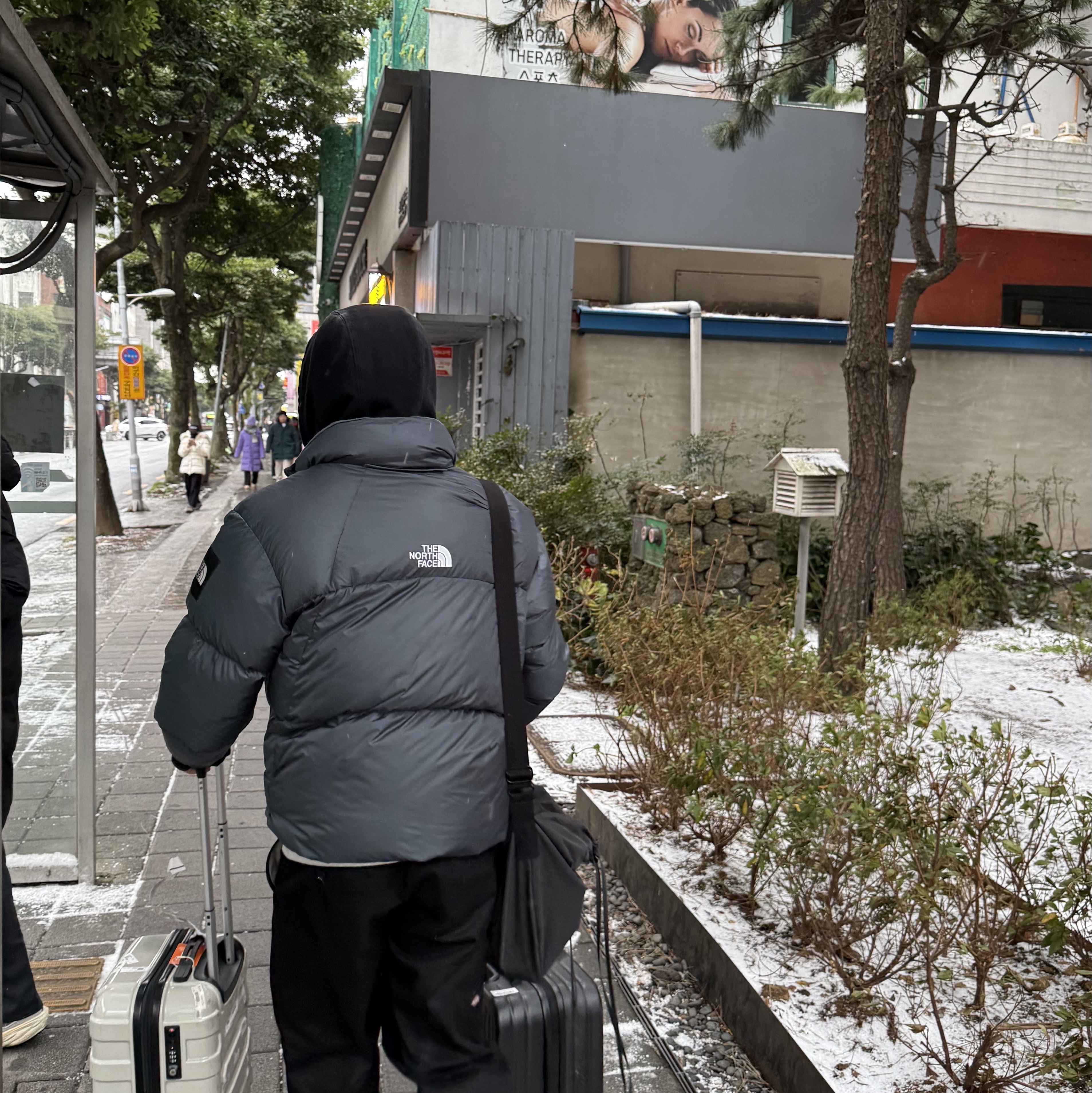 The North Face White Label Project Down Jacket RDS Dusk Blue 착용 스타일