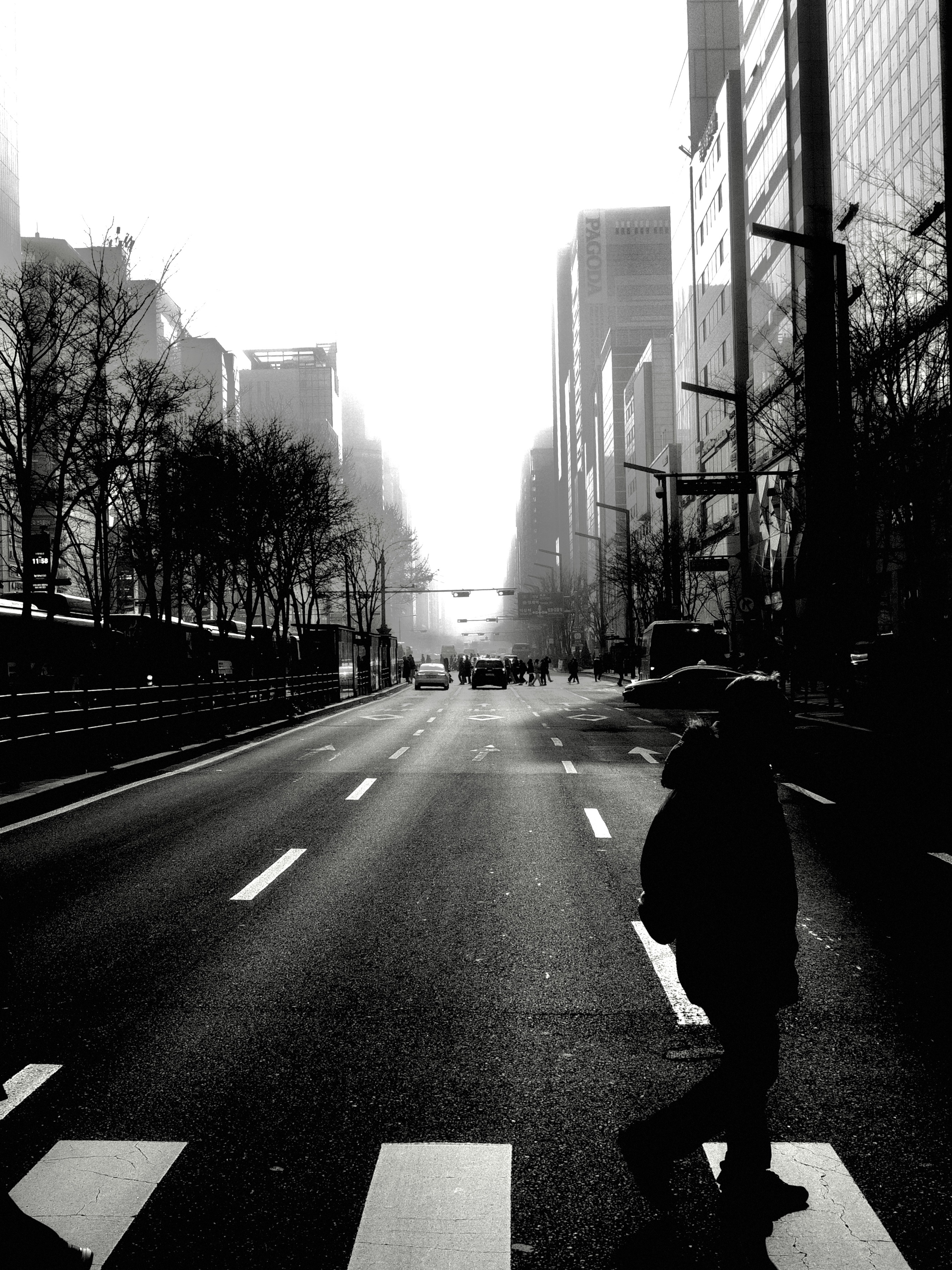 ์์
์ด๋ฏธ์ง