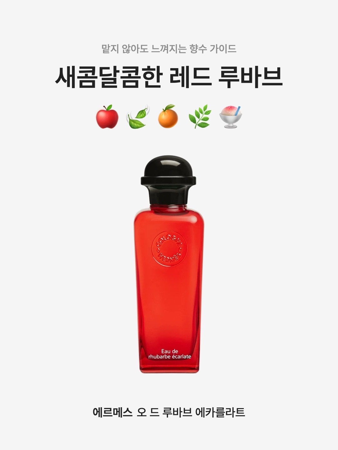 Hermes Eau de Rhubarbe Ecarlate Eau de Cologne 100ml 착용 스타일 - 1