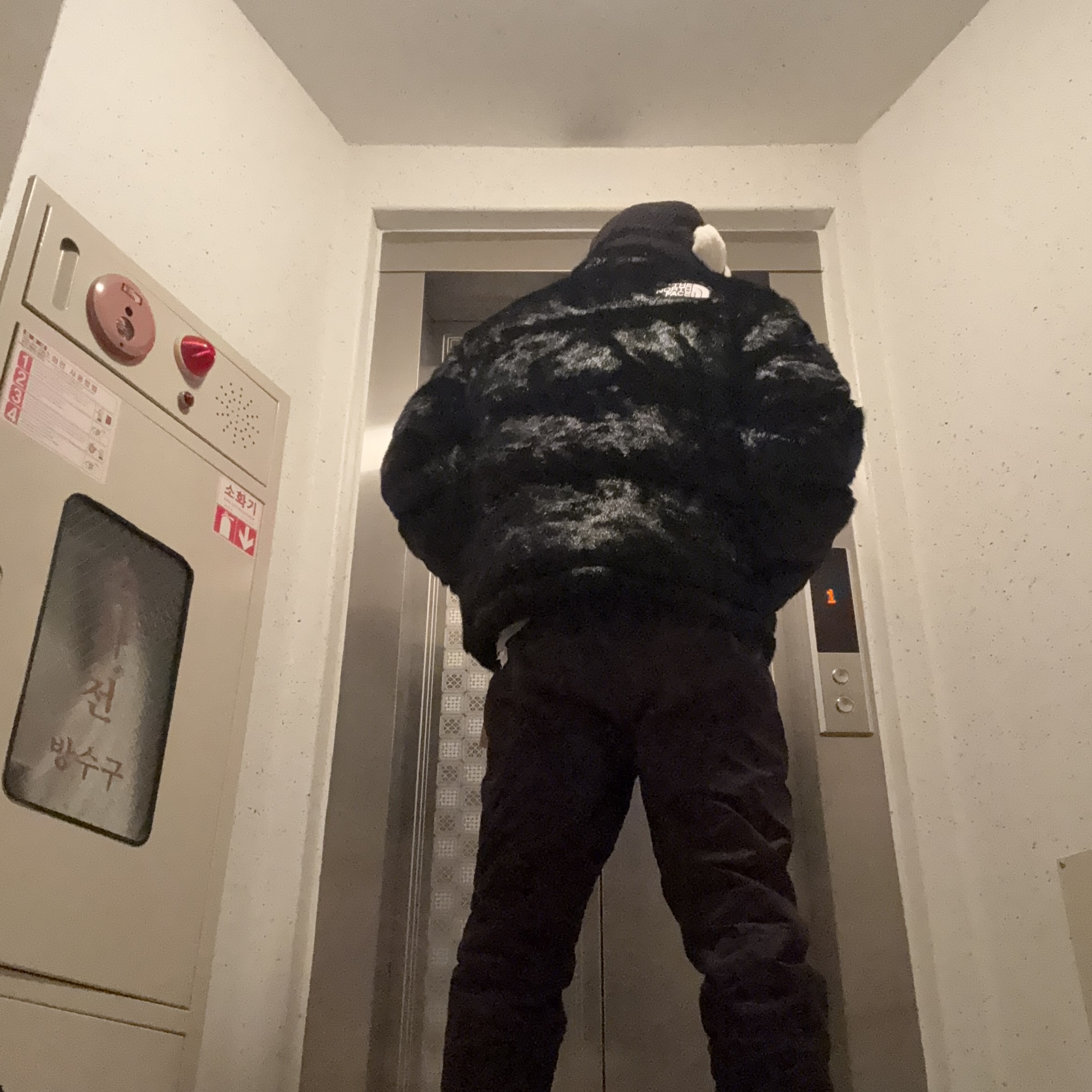 Supreme x The North Face Faux Fur Nuptse Jacket Black - 20FW 착용 스타일 - 2