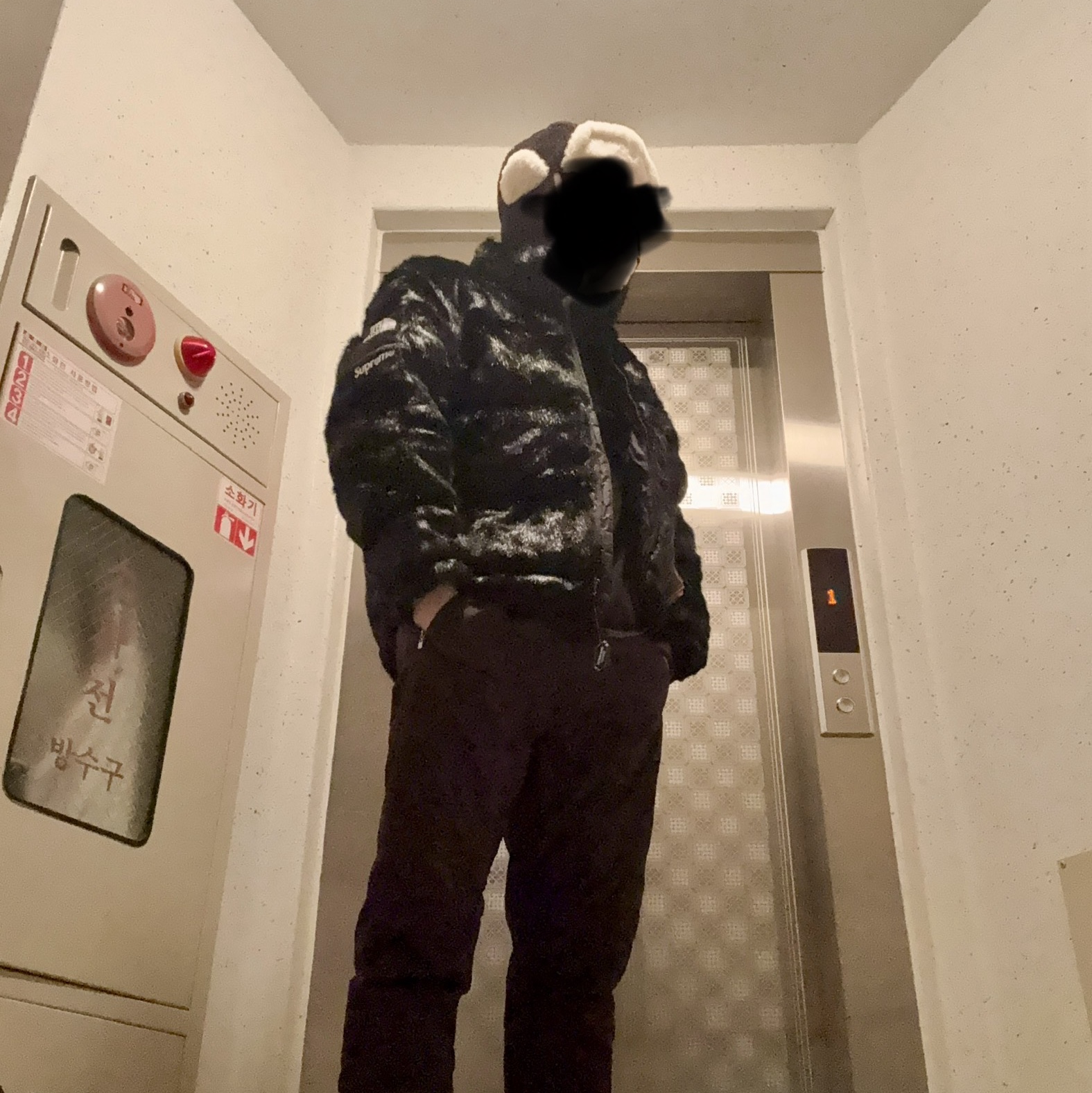 Supreme x The North Face Faux Fur Nuptse Jacket Black - 20FW 착용 스타일 - 1