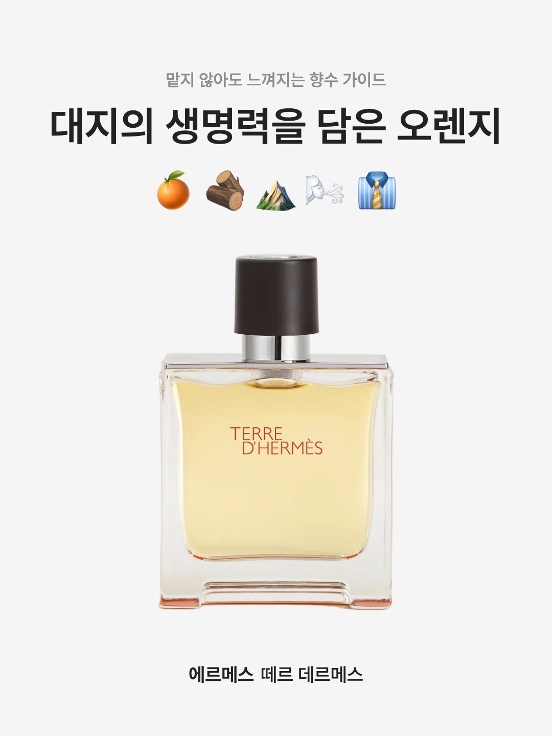 Hermes Terre d’Hermes Eau de Toilette 100ml, Hermes Terre d'Hermes Parfum 75ml 착용 스타일 - 1