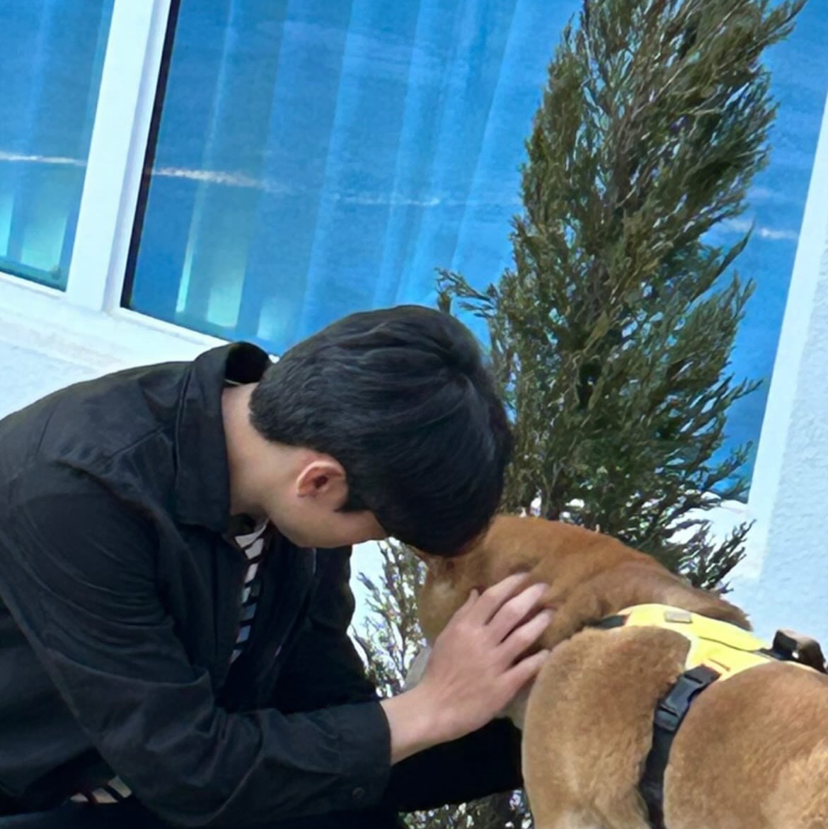 BAPE Solid Camo One Point Relaxed Fit Stripe L/S T-Shirt Ivory, C.P. Company Chrome-R Zipped Shirt Jacket Black - 25SS 착용 스타일