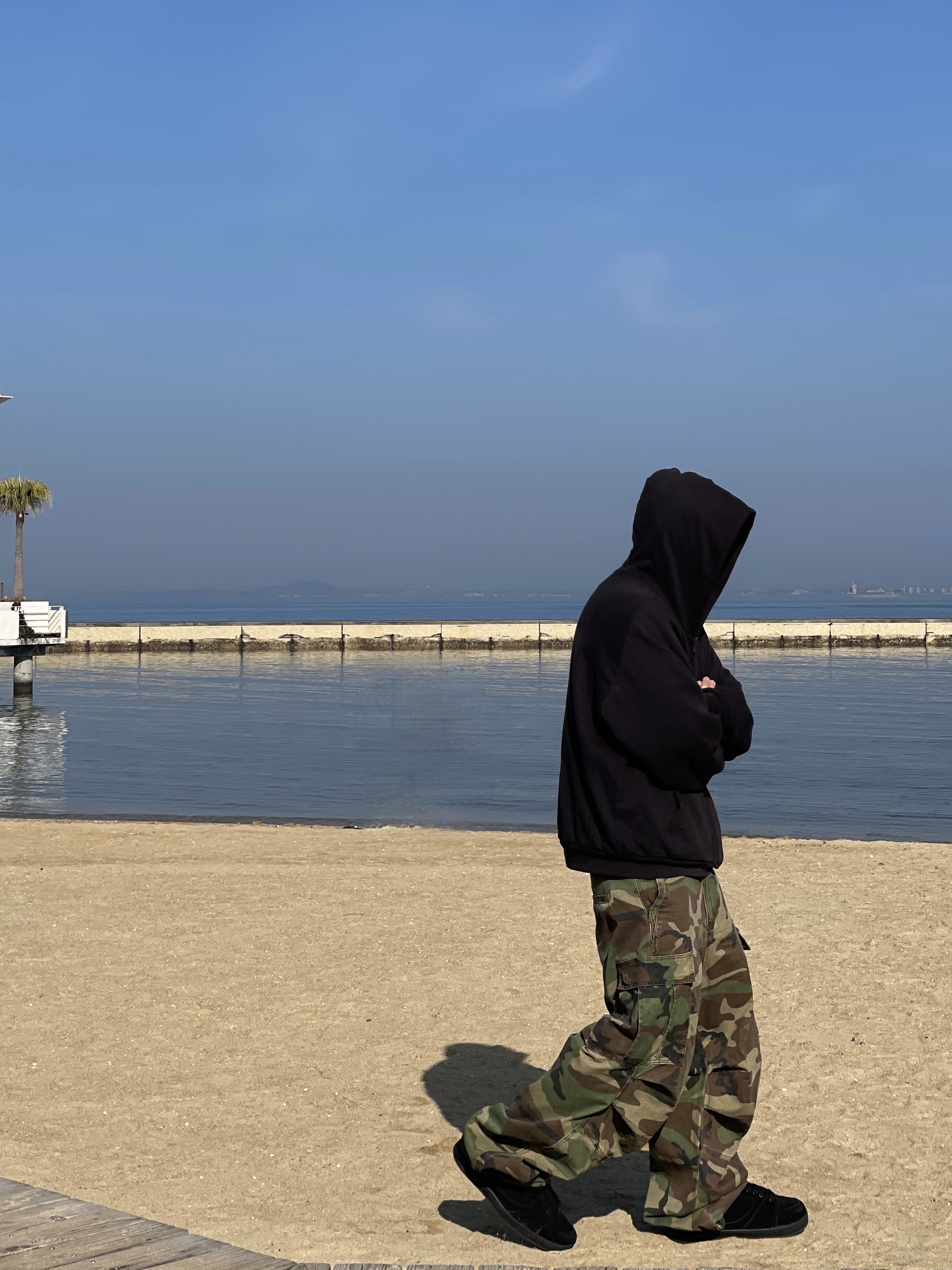 eS Accel OG Black, NOD Stone Washed Cargo Pants Camo 착용 스타일