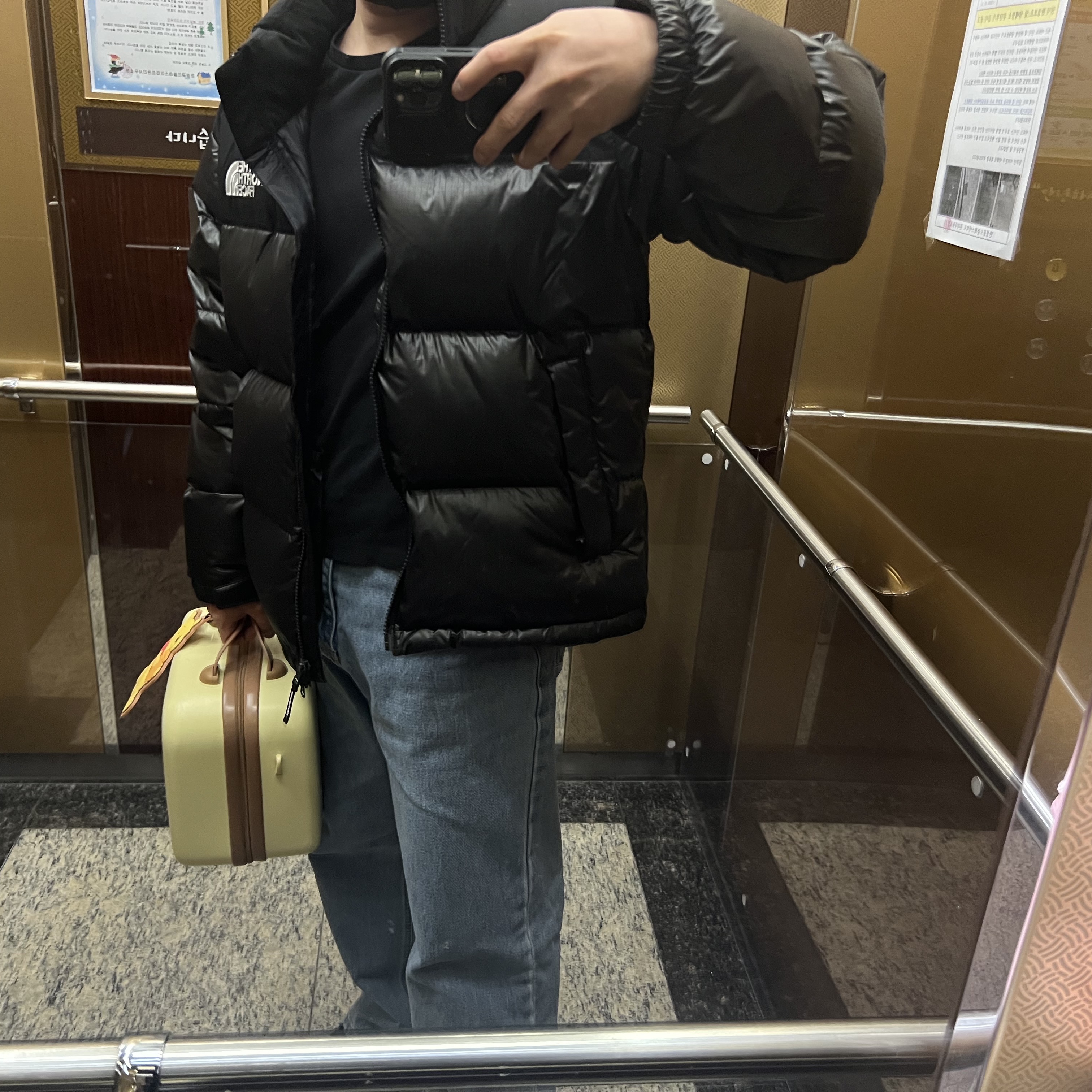 The North Face White Label Novelty Nuptse RDS Down Jacket Black 착용 스타일
