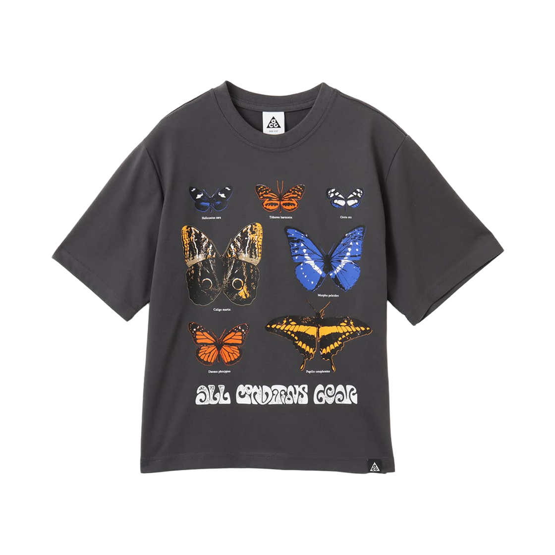 HF9523-060 (W) Nike ACG Dri-Fit T-Shirt Anthracite - Asia
