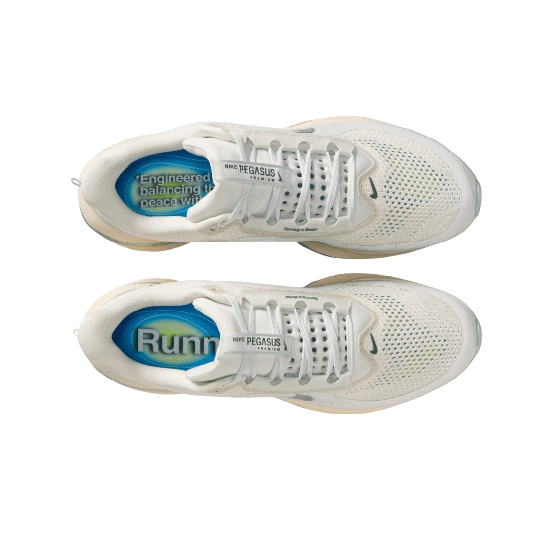 나이키 에어 줌 페가수스 프리미엄 플래티넘 틴트 리플렉트 실버(Nike Air Zoom Pegasus Premium Platinum Tint Reflect Silver) - 2