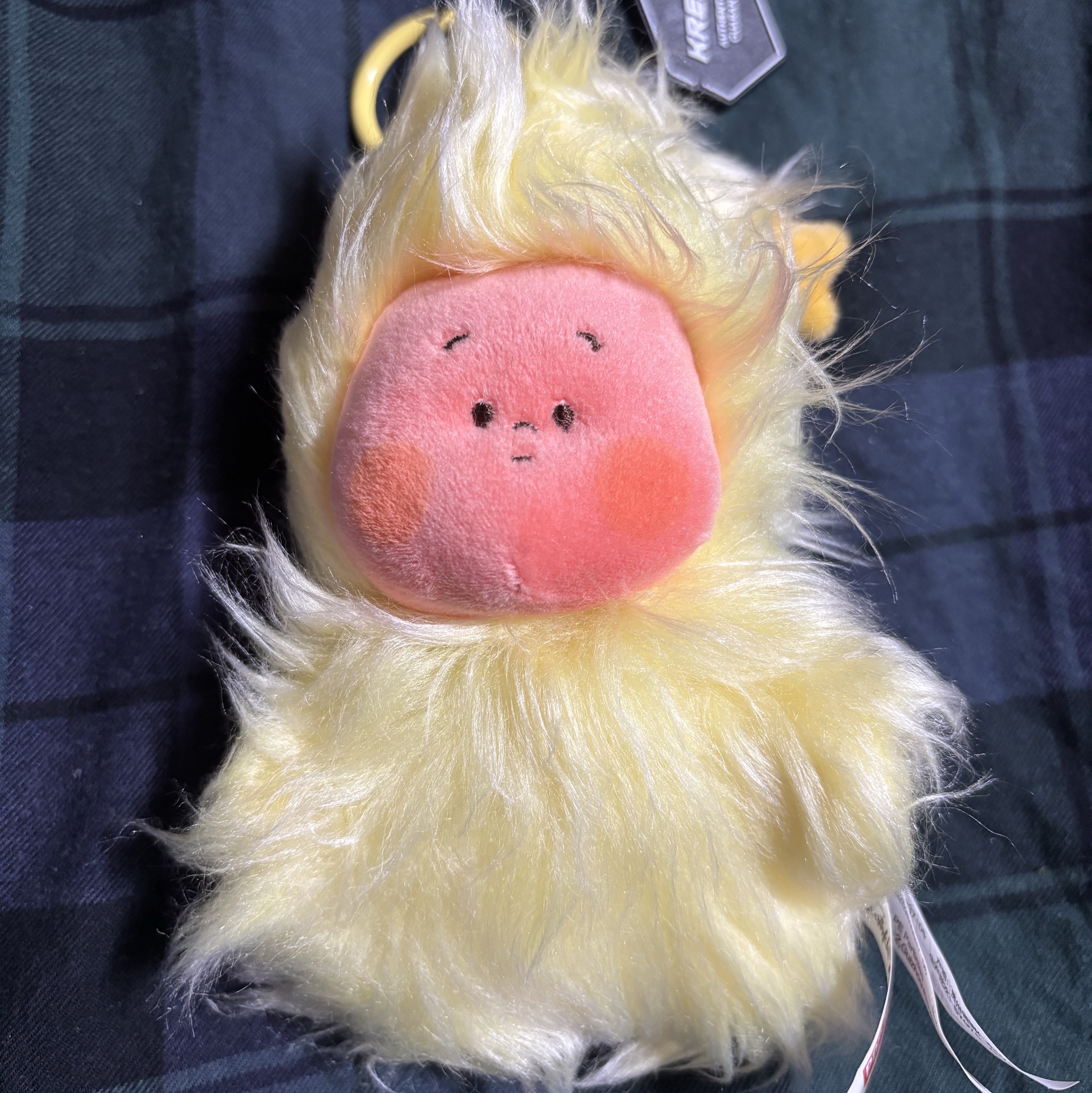 Pop Mart Twinkle Twinkle Sweet Dreams Forecast Series Plush Pendant Mess In Wind (Opened Case) 착용 스타일