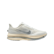 Nike Air Zoom Pegasus Premium Platinum Tint Reflect Silver