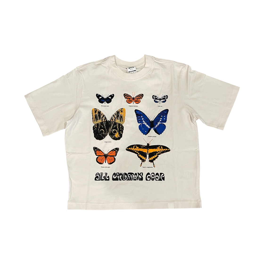 HF9523-030 (W) Nike ACG Dri-Fit T-Shirt Phantom - Asia