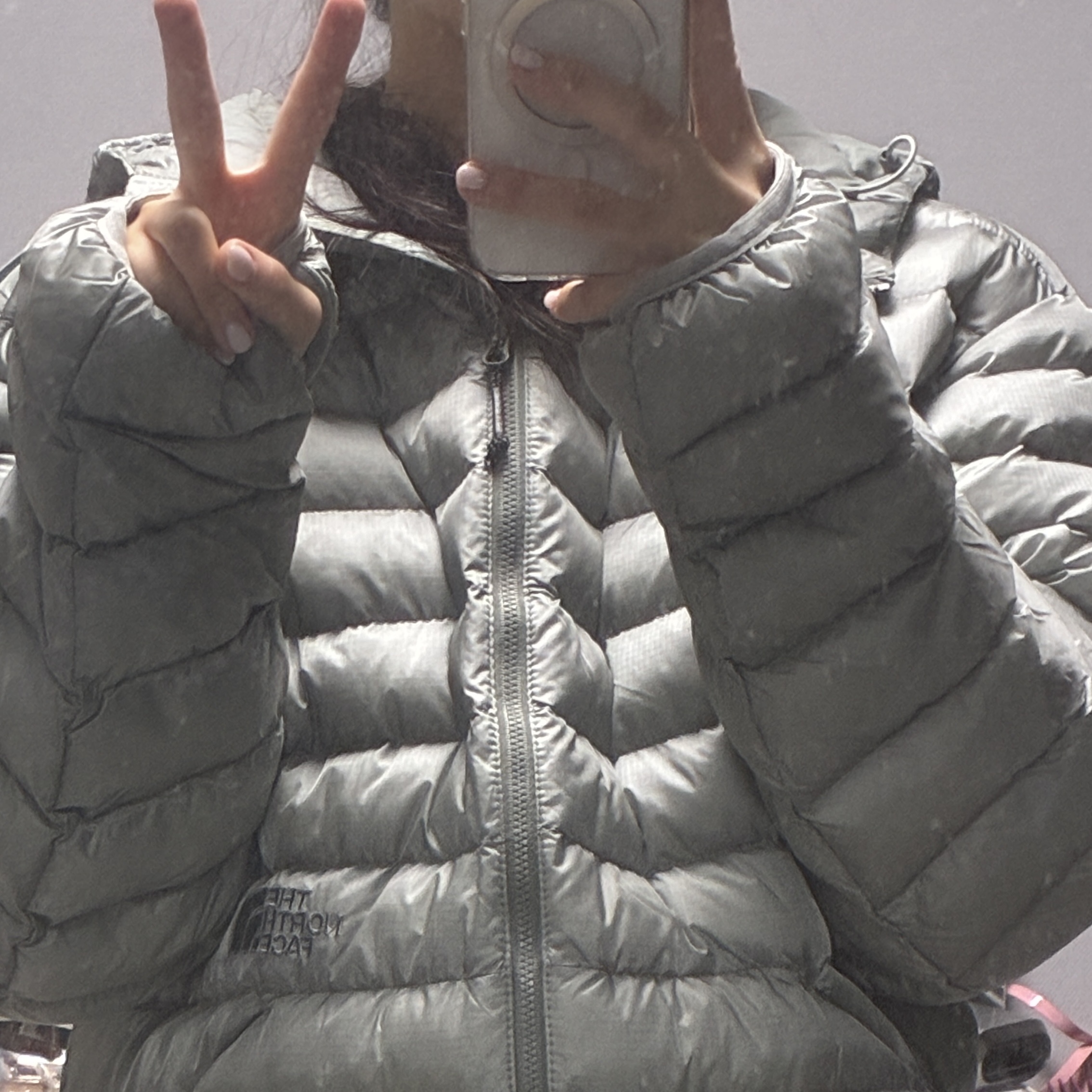 The North Face Ventus On Jacket Silver 착용 스타일 - 1